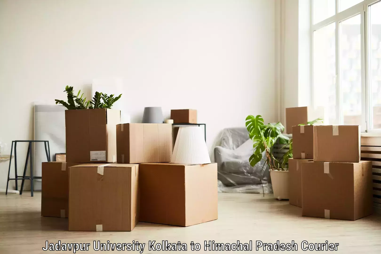 Large package courier Jadavpur University Kolkata to Kala Amb