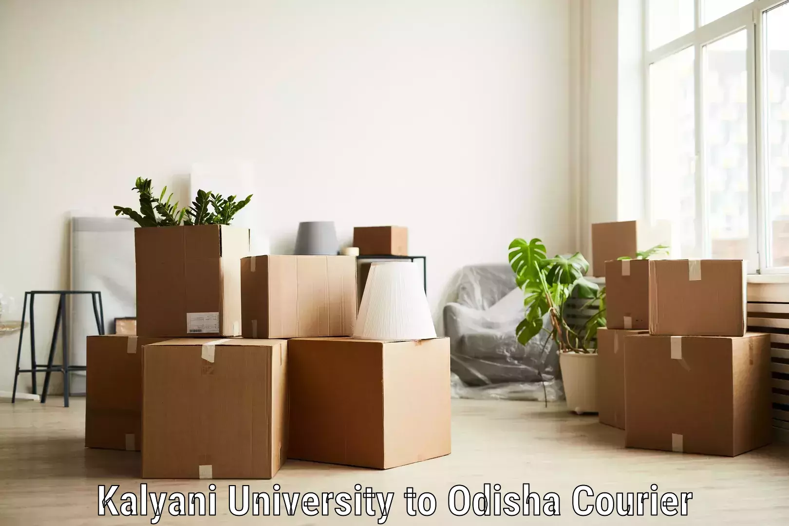 Affordable parcel service Kalyani University to Odisha