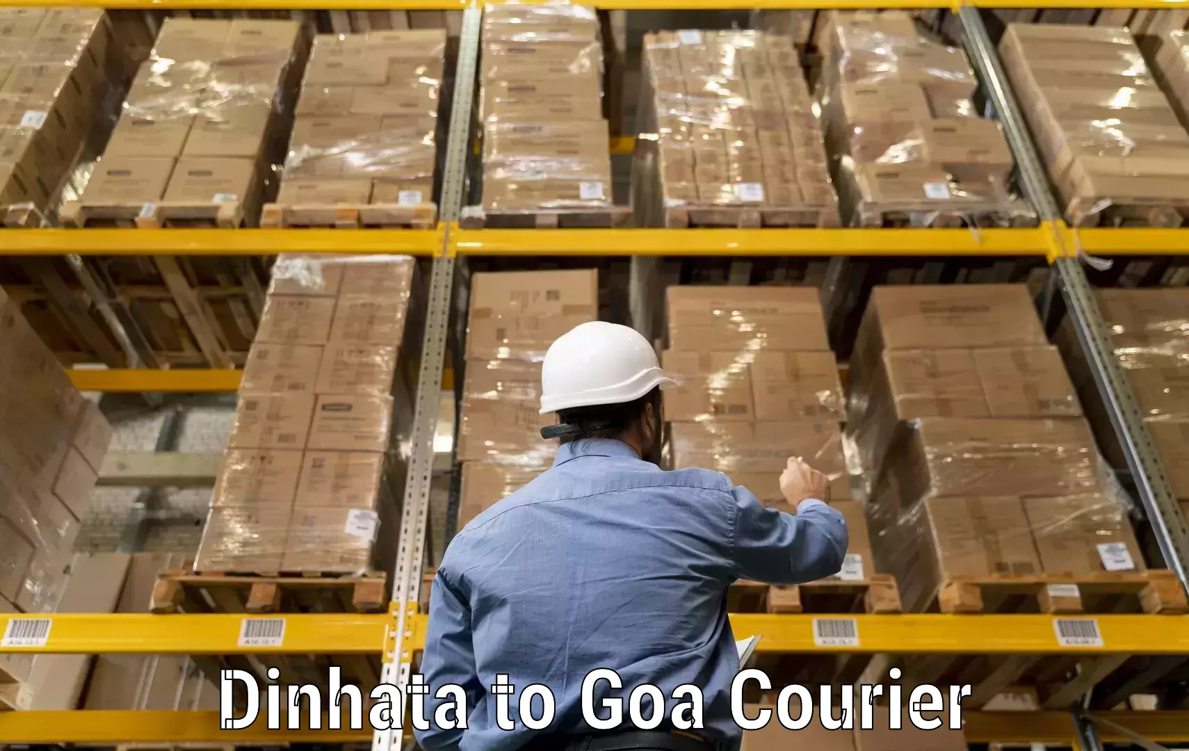 Multi-service courier options Dinhata to Panjim