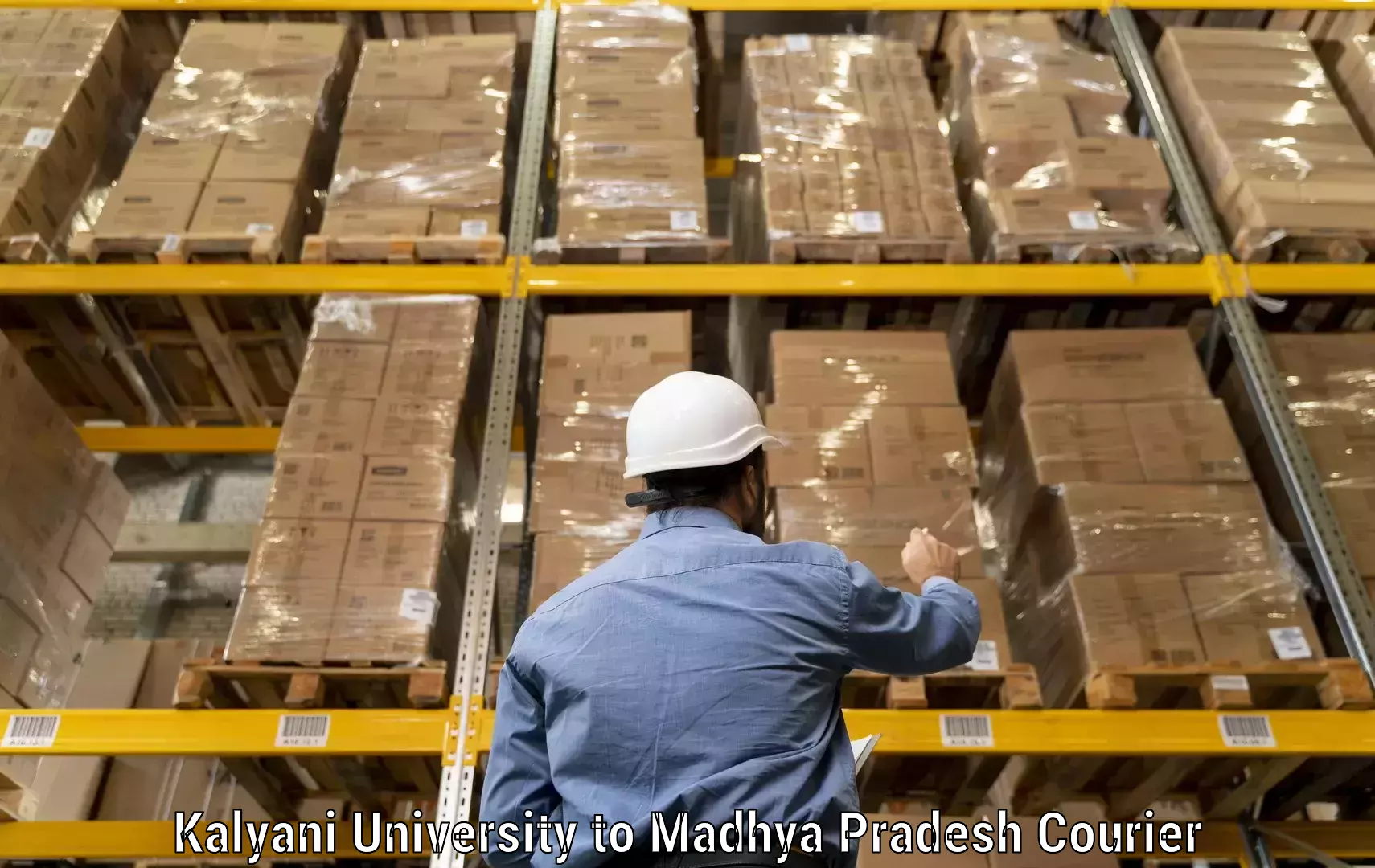Overnight delivery Kalyani University to Madhya Pradesh