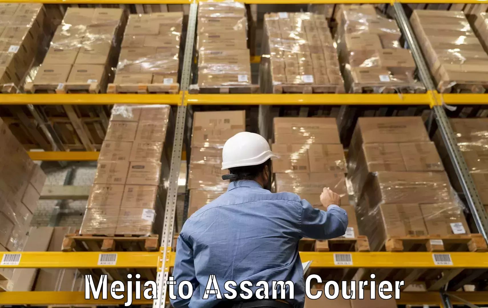 Custom courier packages Mejia to Badarpur Karimganj