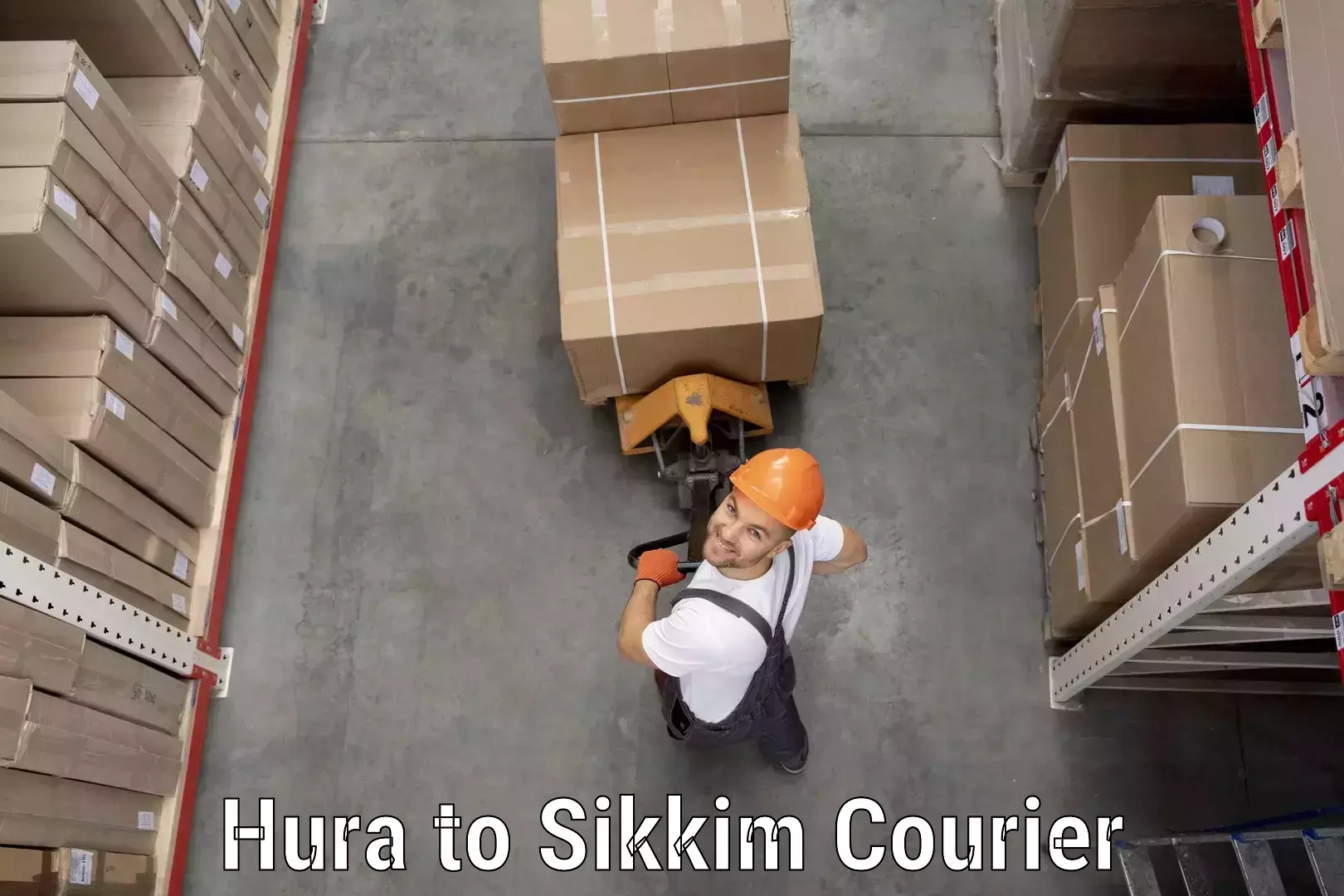 Quick parcel dispatch Hura to Sikkim