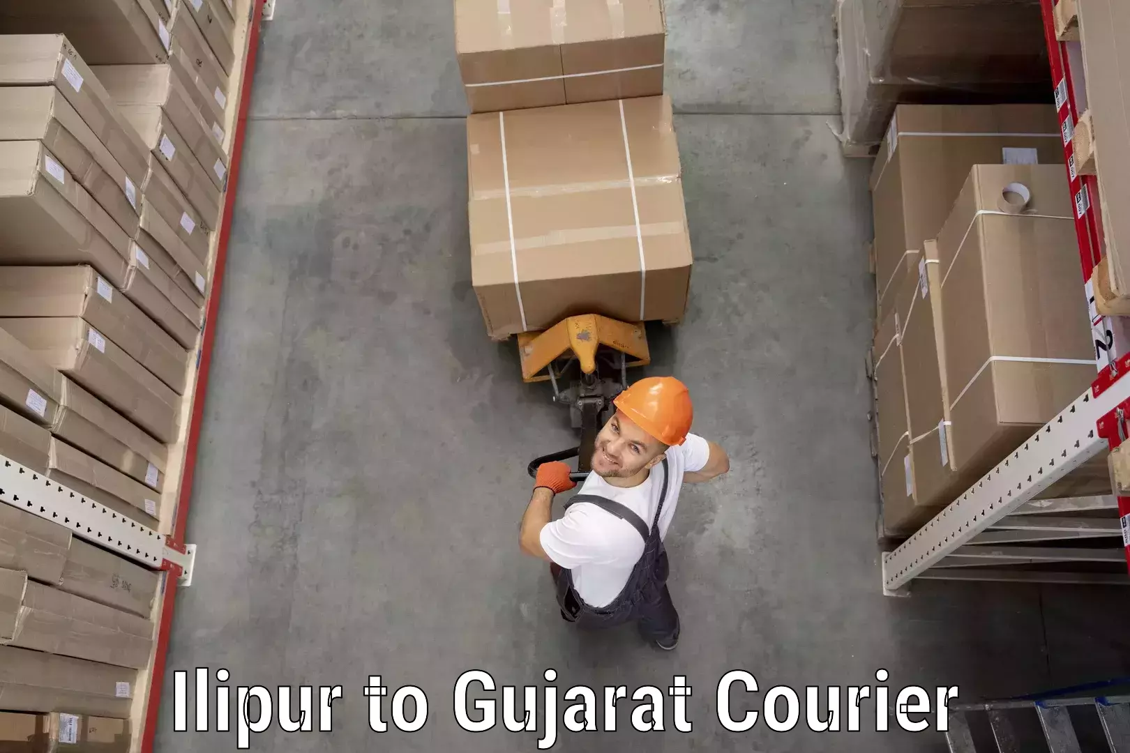 Flexible courier rates in Ilipur to Dharampur Valsad