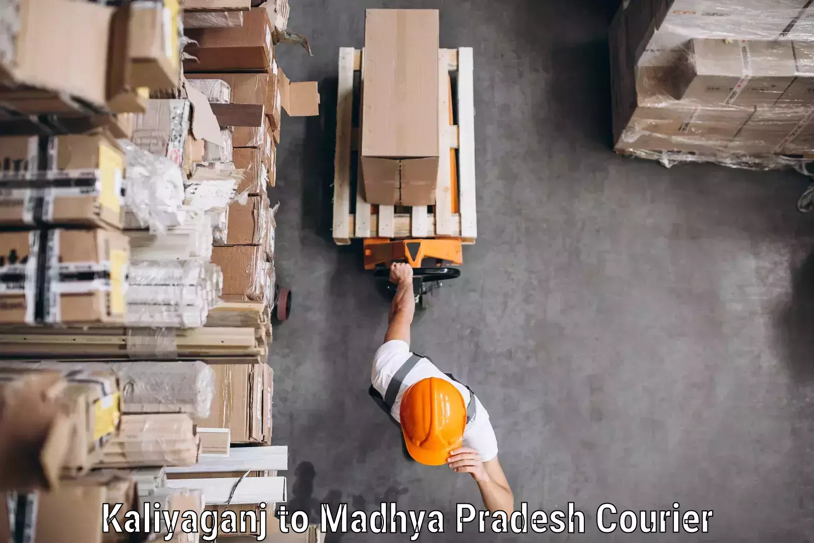 Dynamic parcel delivery Kaliyaganj to Maheshwar