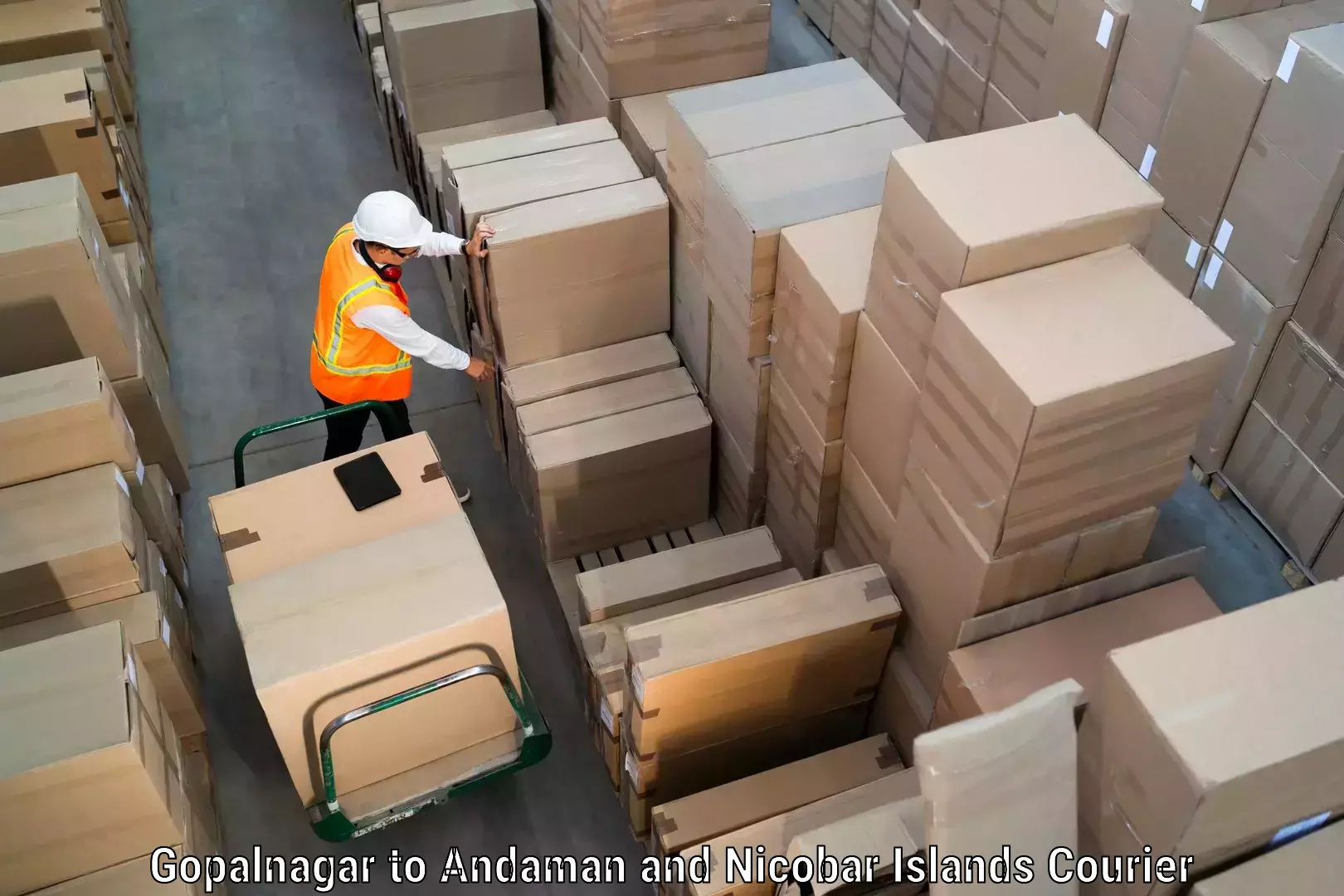 Small parcel delivery in Gopalnagar to South Andaman