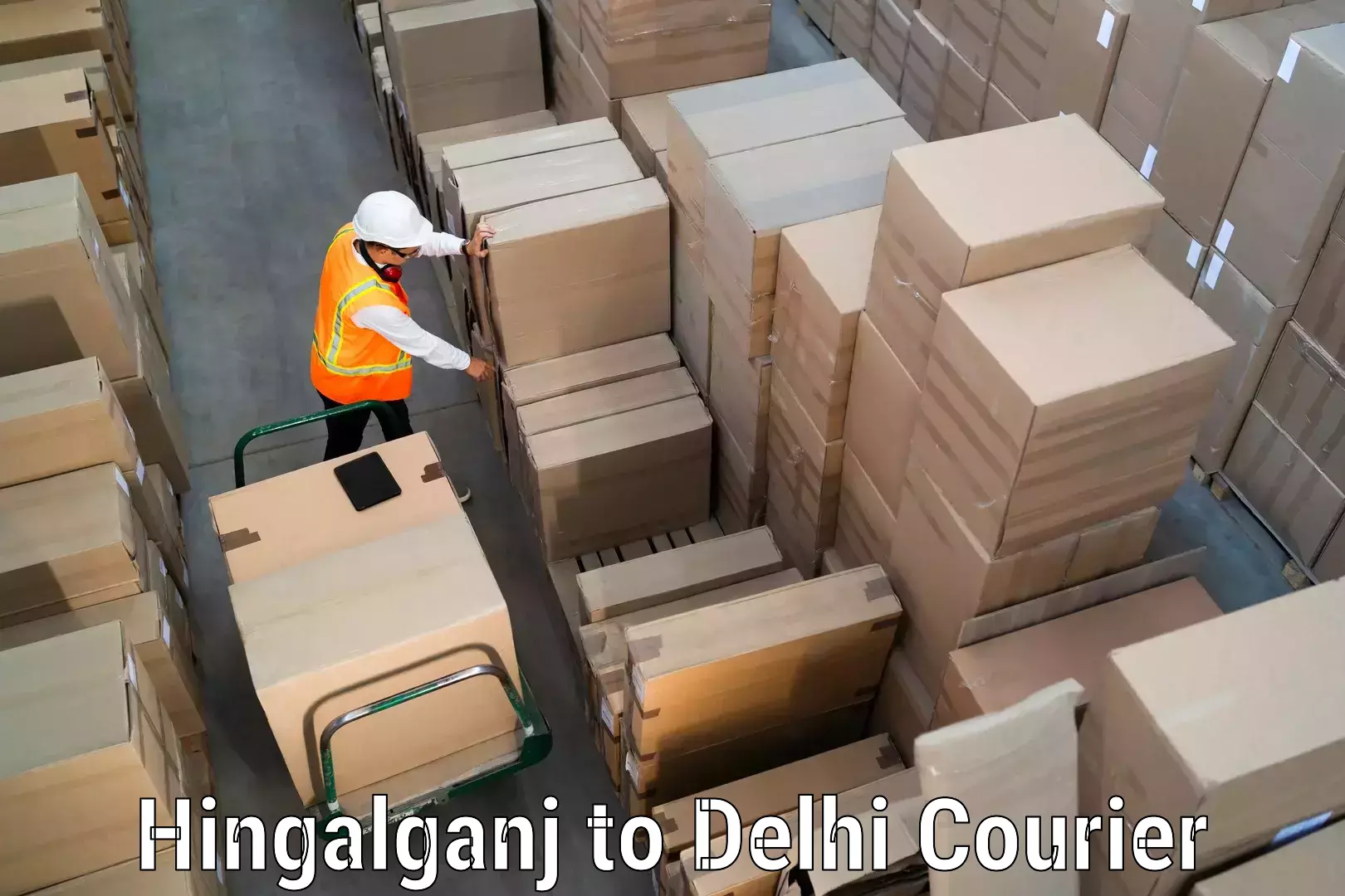 Courier tracking online Hingalganj to Delhi