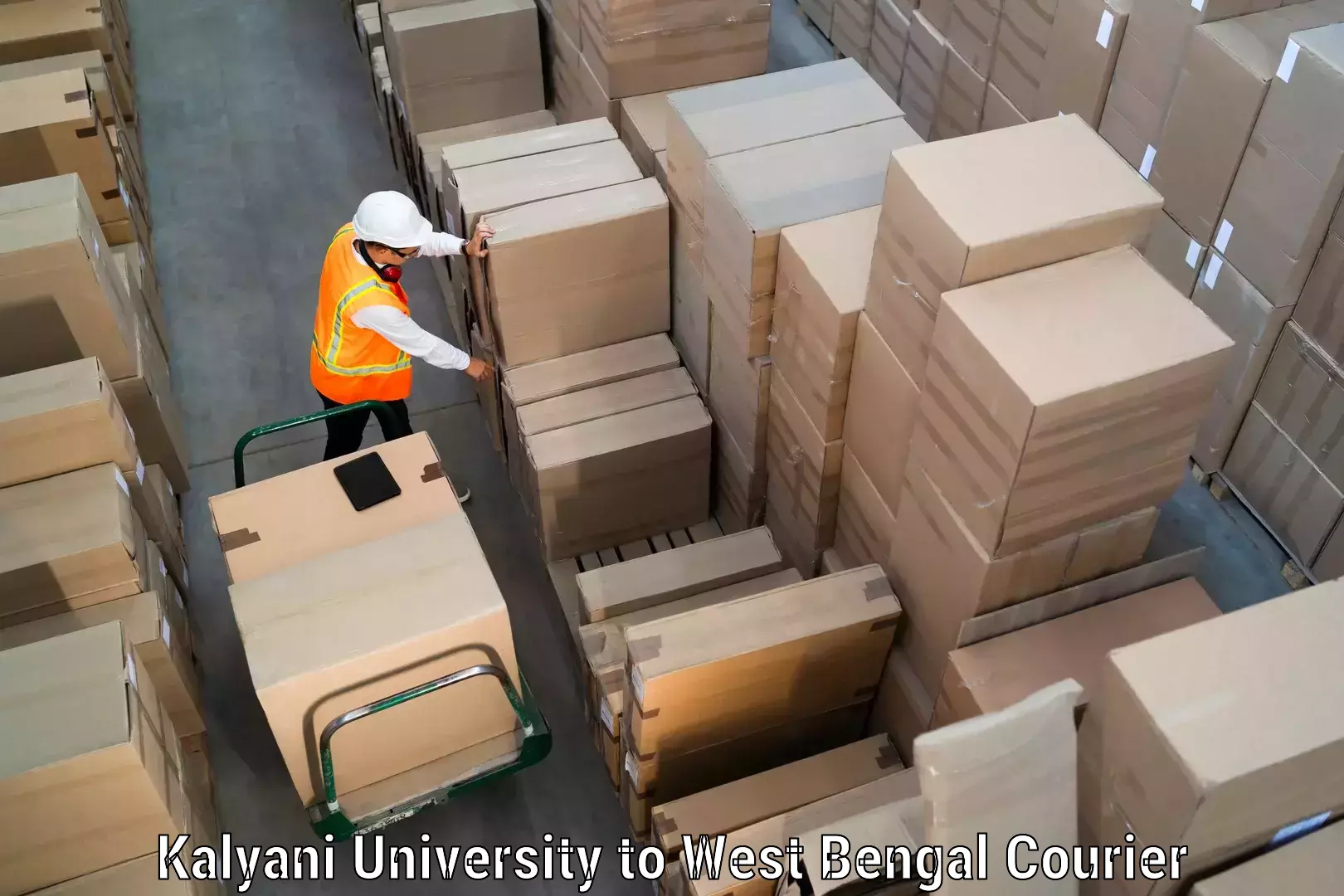 Courier service booking Kalyani University to Memari