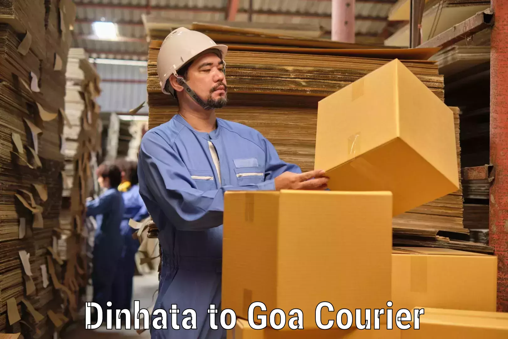 Domestic delivery options Dinhata to Bardez