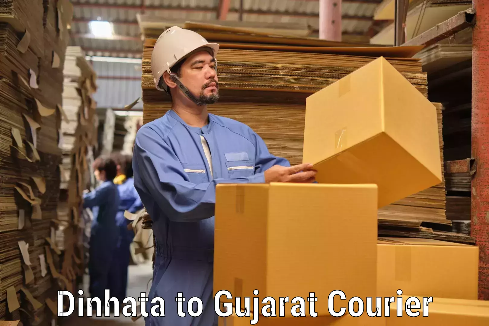 Bulk courier orders Dinhata to Rajpipla