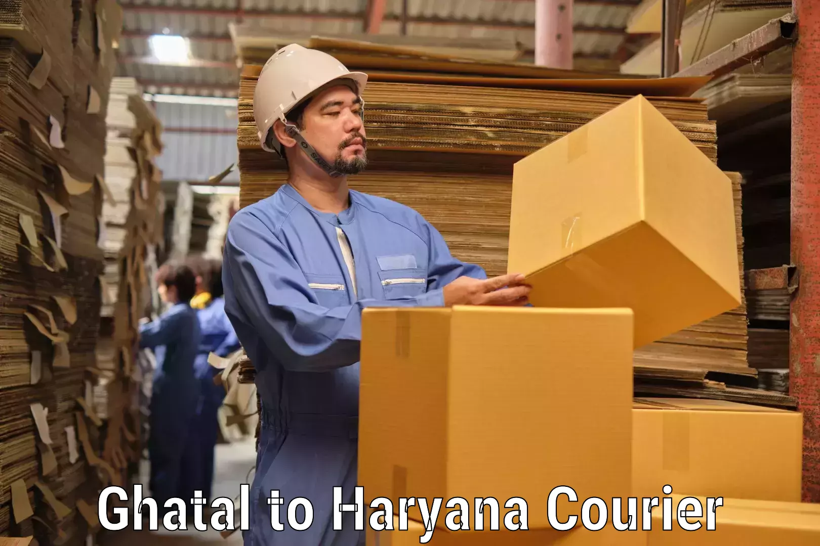 24-hour courier service Ghatal to Haryana