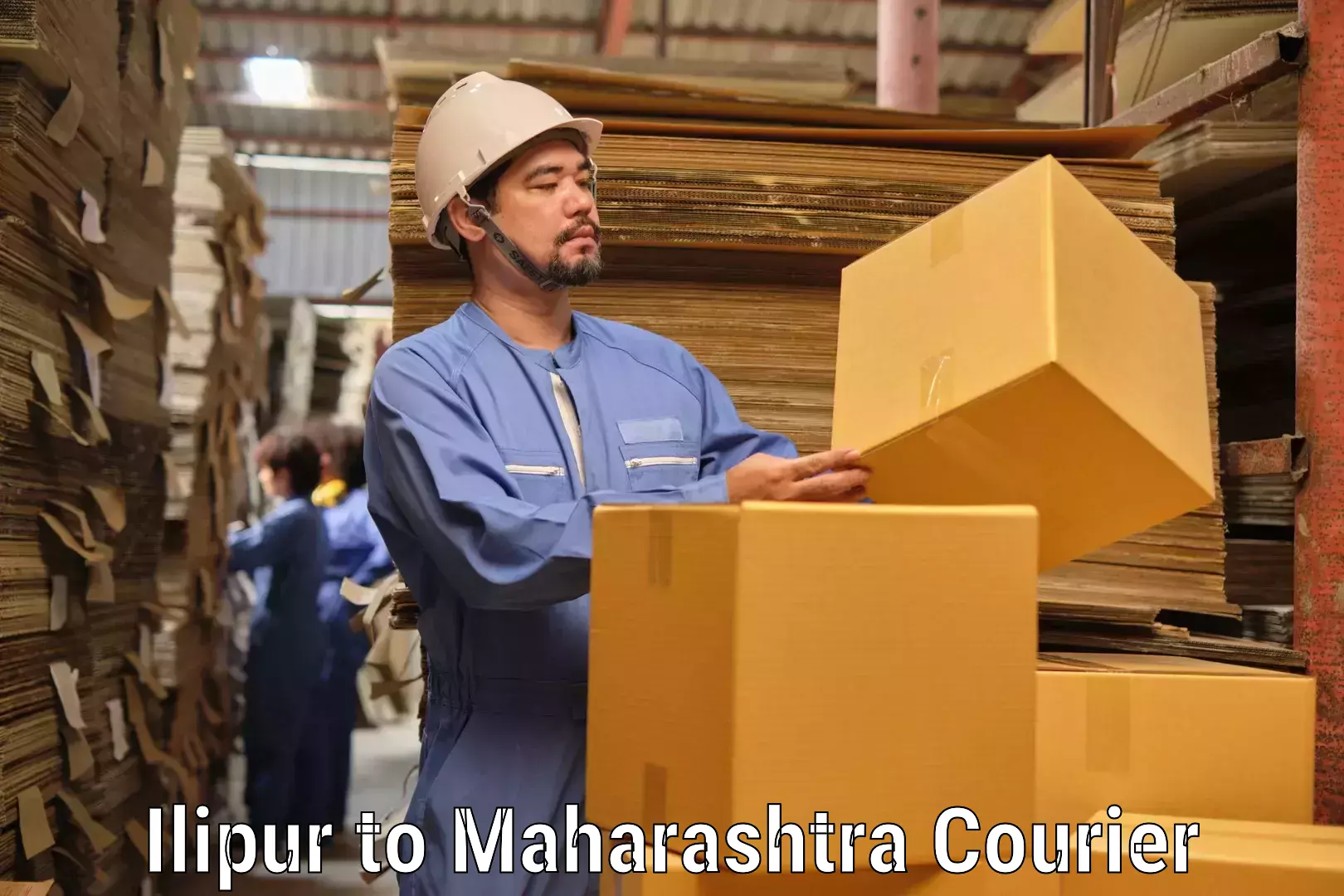 Multi-package shipping Ilipur to Dr Babasaheb Ambedkar Marathwada University Aurangabad