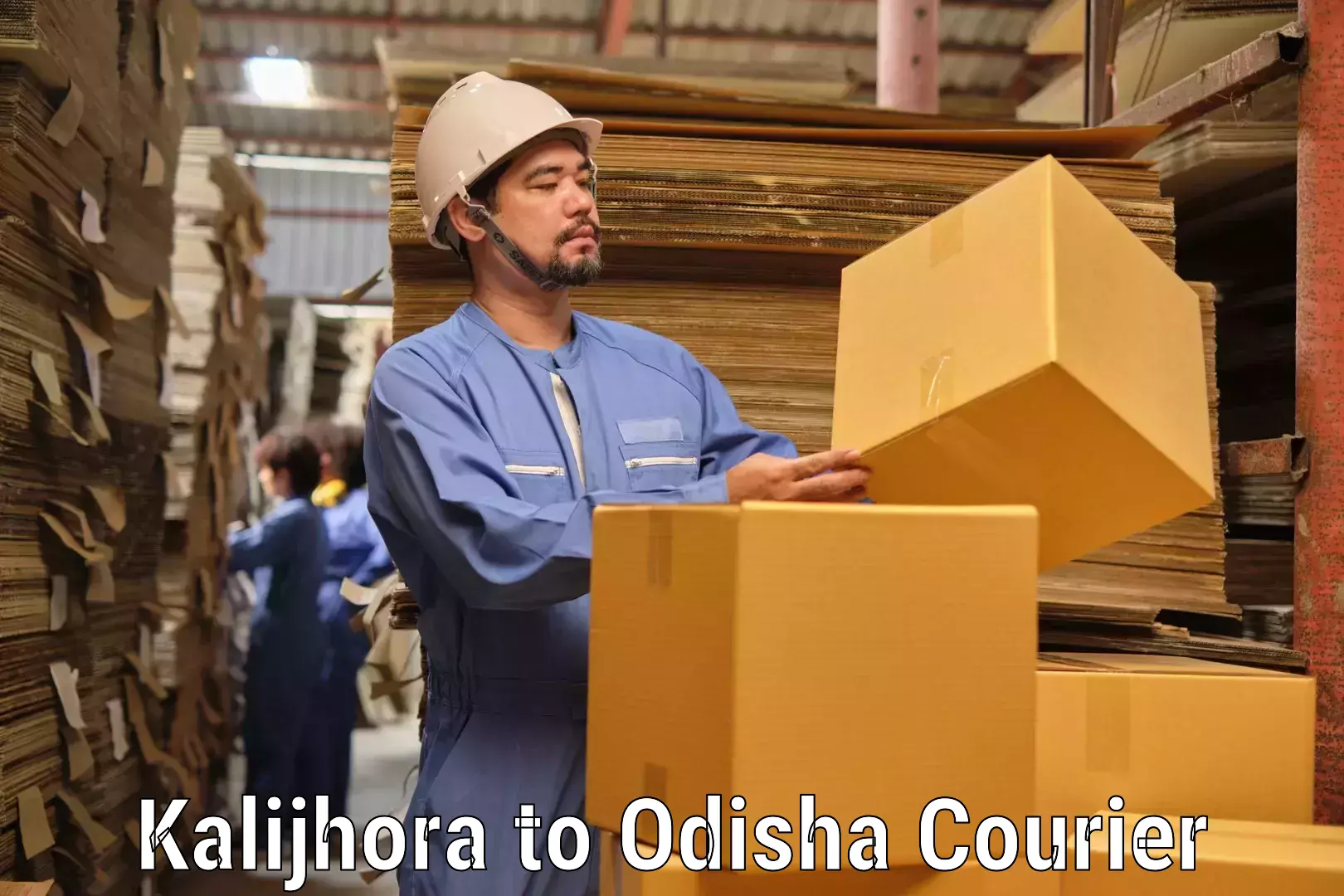 International parcel service Kalijhora to Odisha