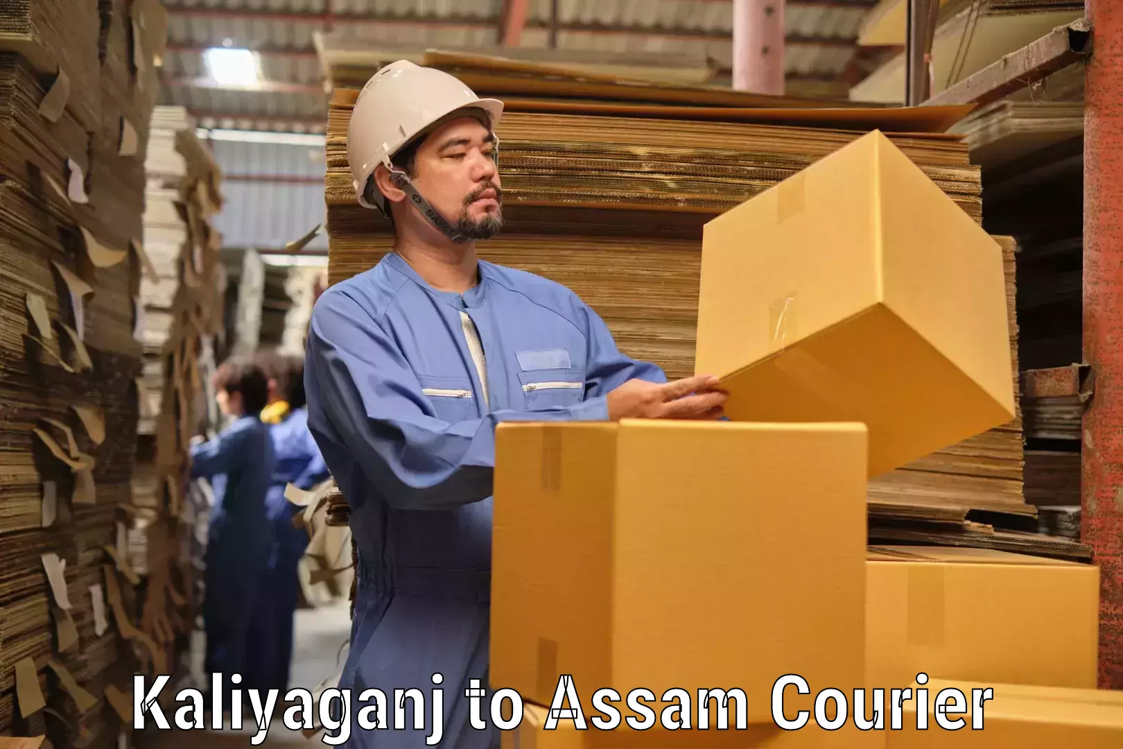 24-hour courier service Kaliyaganj to Nagaon