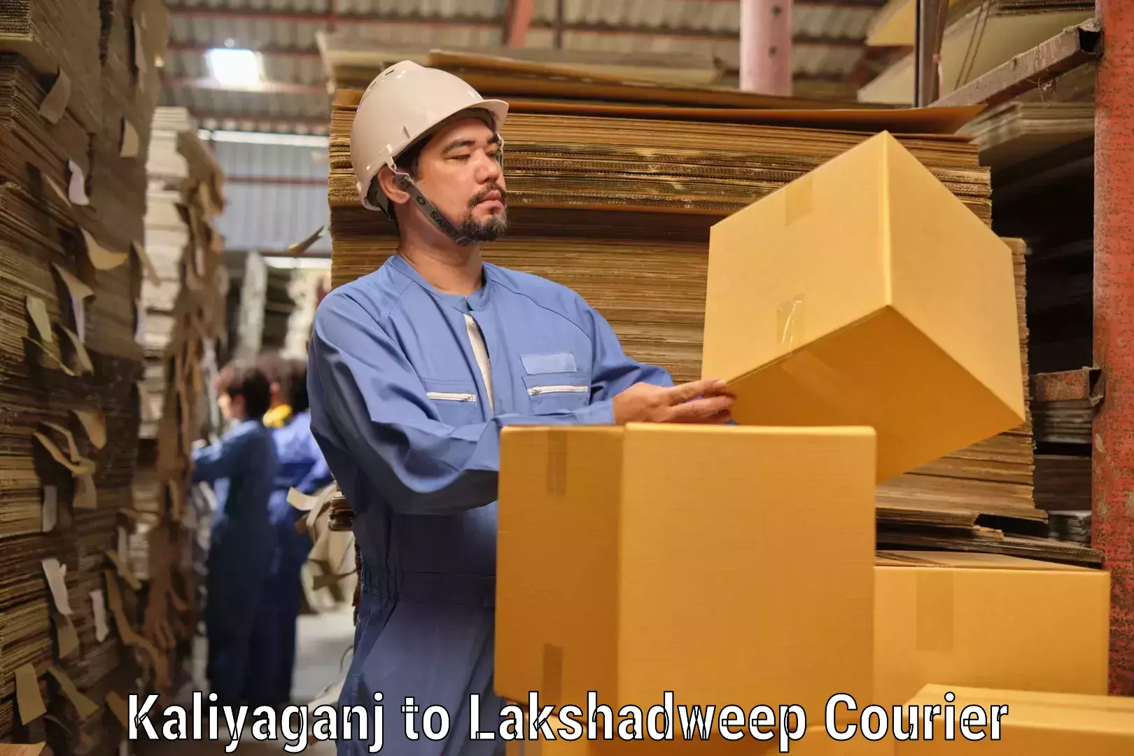 Individual parcel service Kaliyaganj to Lakshadweep
