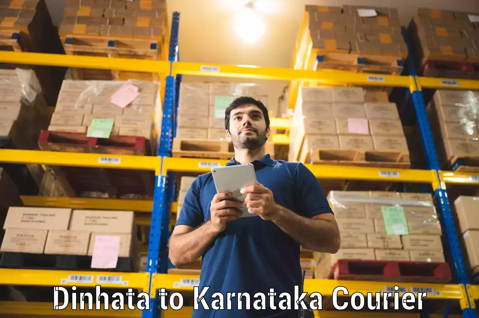 Postal and courier services Dinhata to Koppa