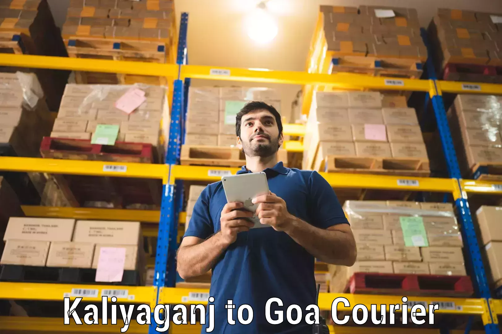 Local courier options in Kaliyaganj to South Goa