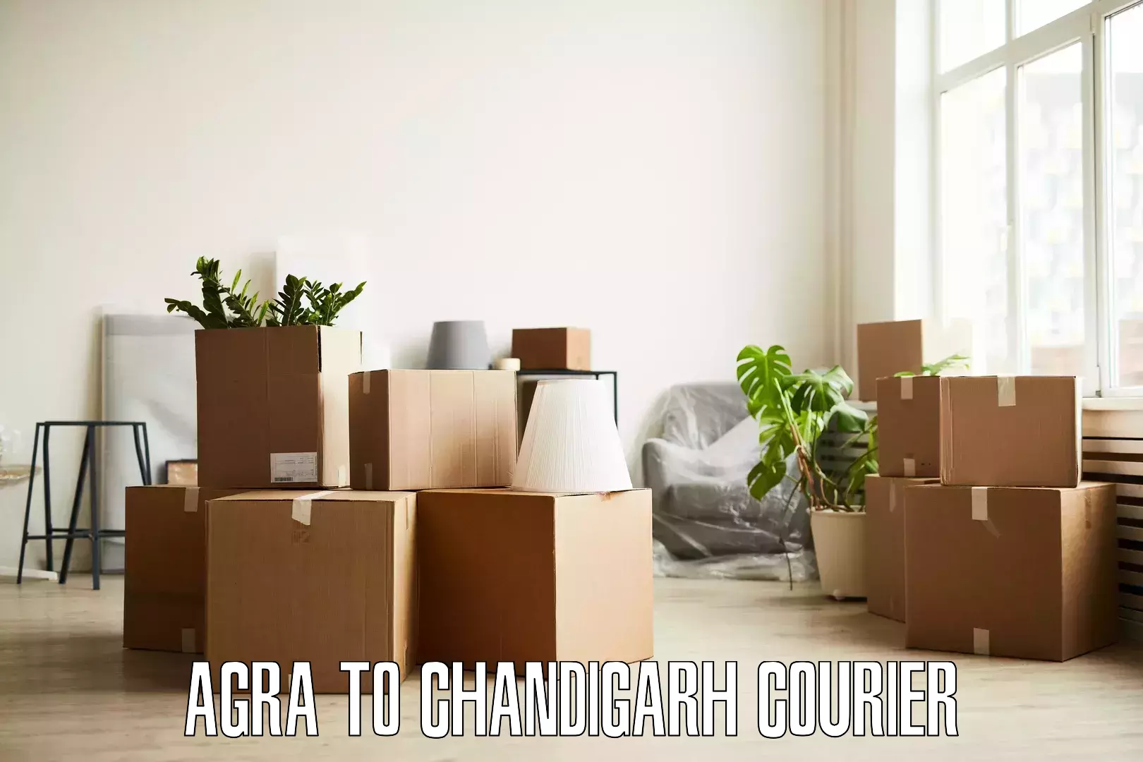 Furniture delivery service Agra to Panjab University Chandigarh