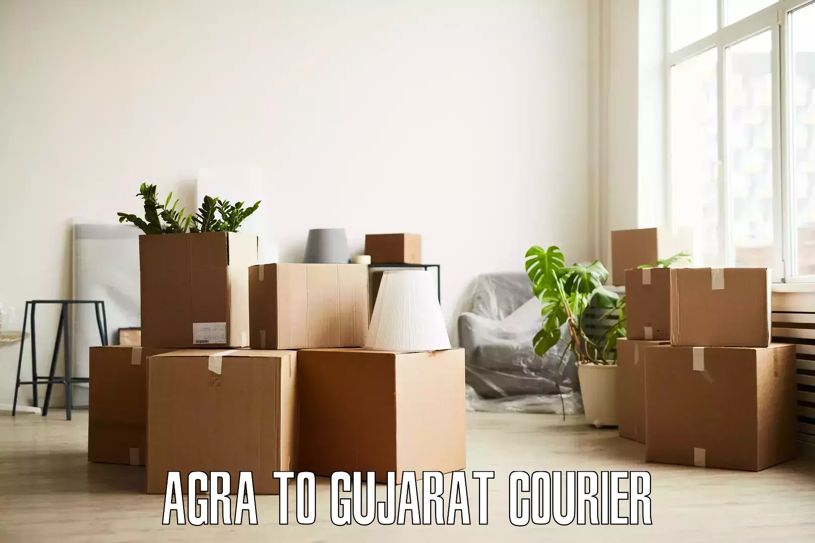 Door-to-door relocation services Agra to Himatnagar