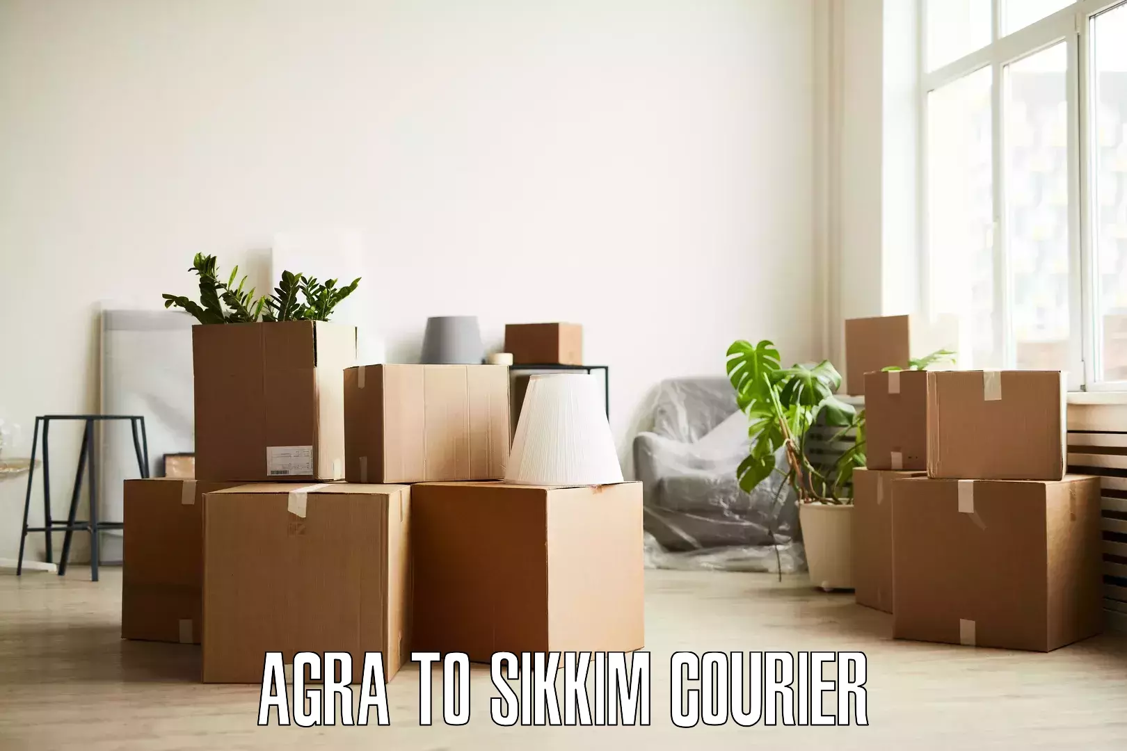 Home goods moving company Agra to Pelling