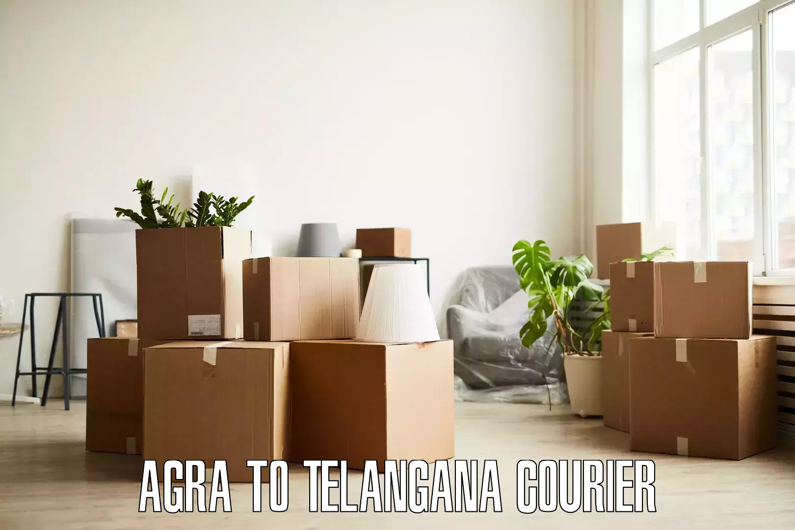 Furniture moving experts Agra to Ramagundam