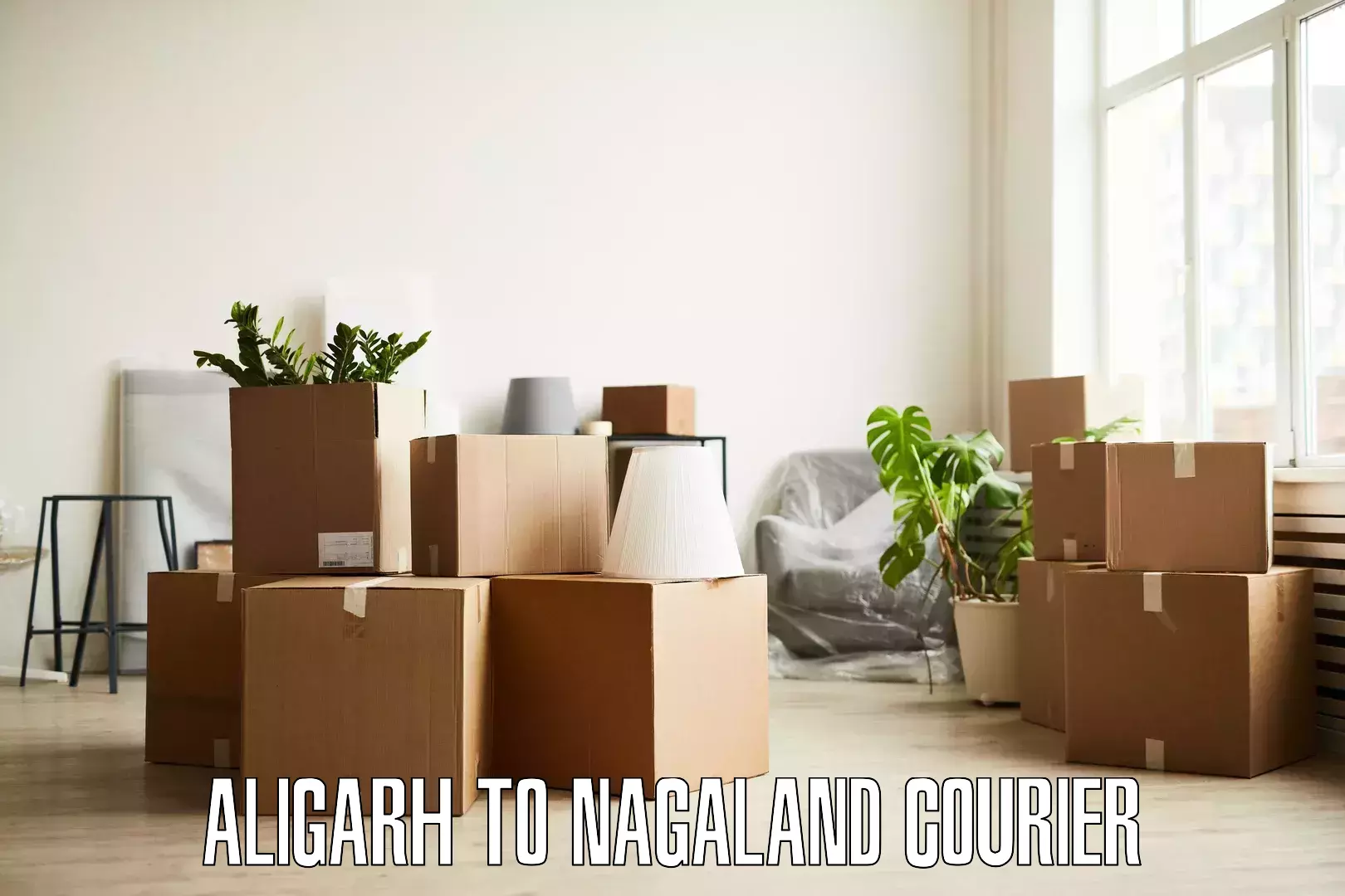 Efficient household moving Aligarh to Peren