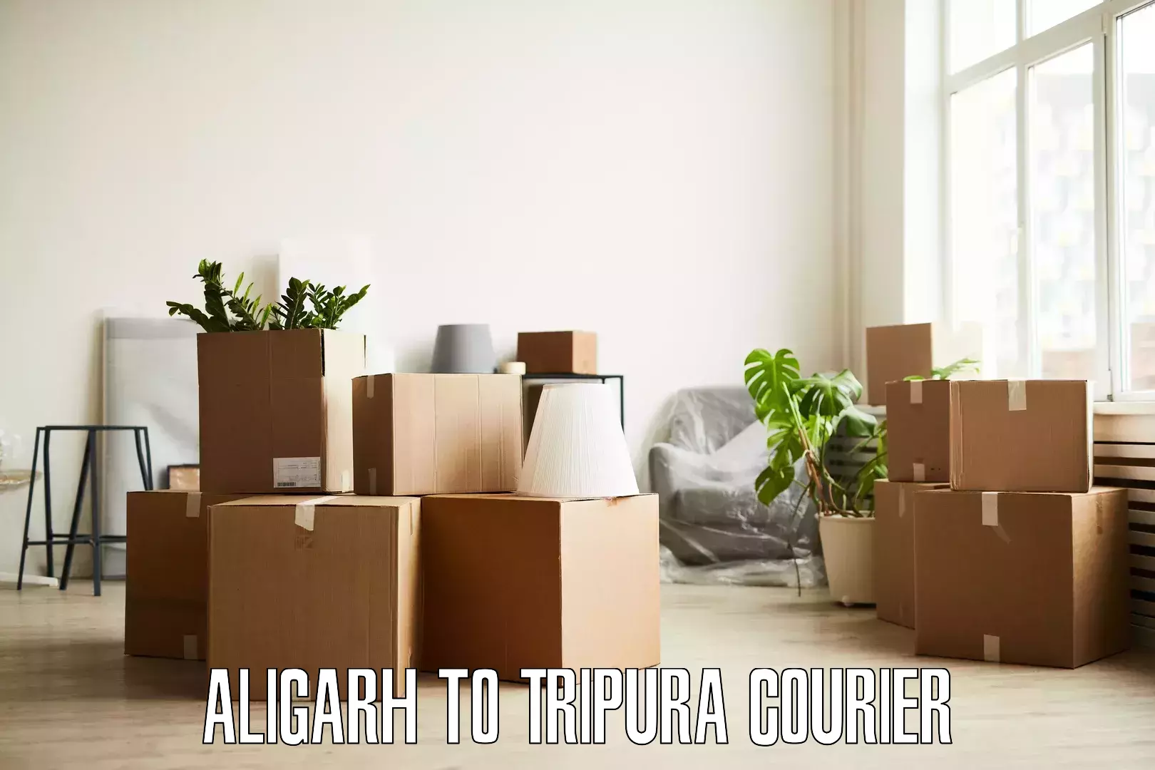 Efficient home goods movers Aligarh to Santirbazar