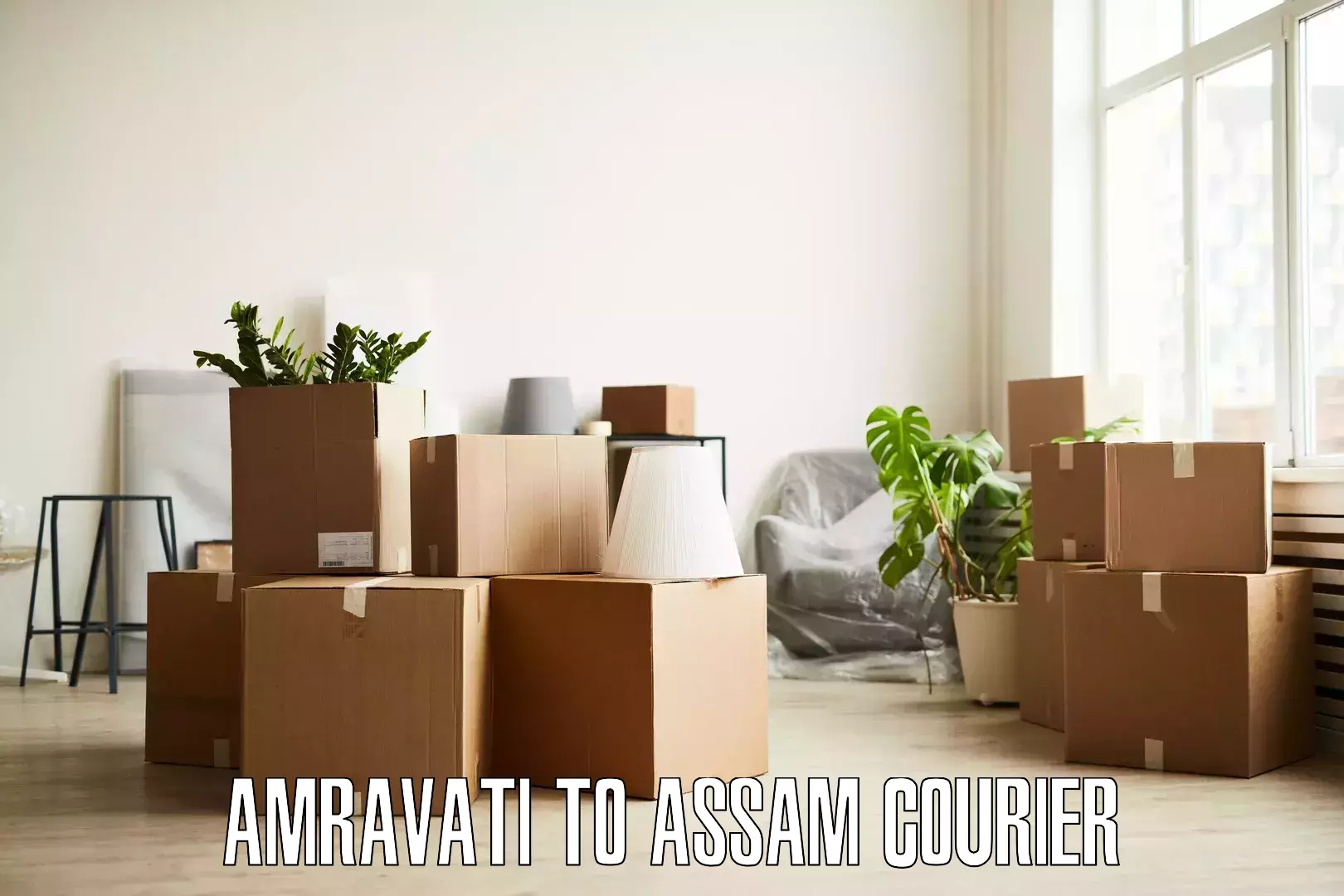 Residential furniture transport Amravati to Paneri Kamrup