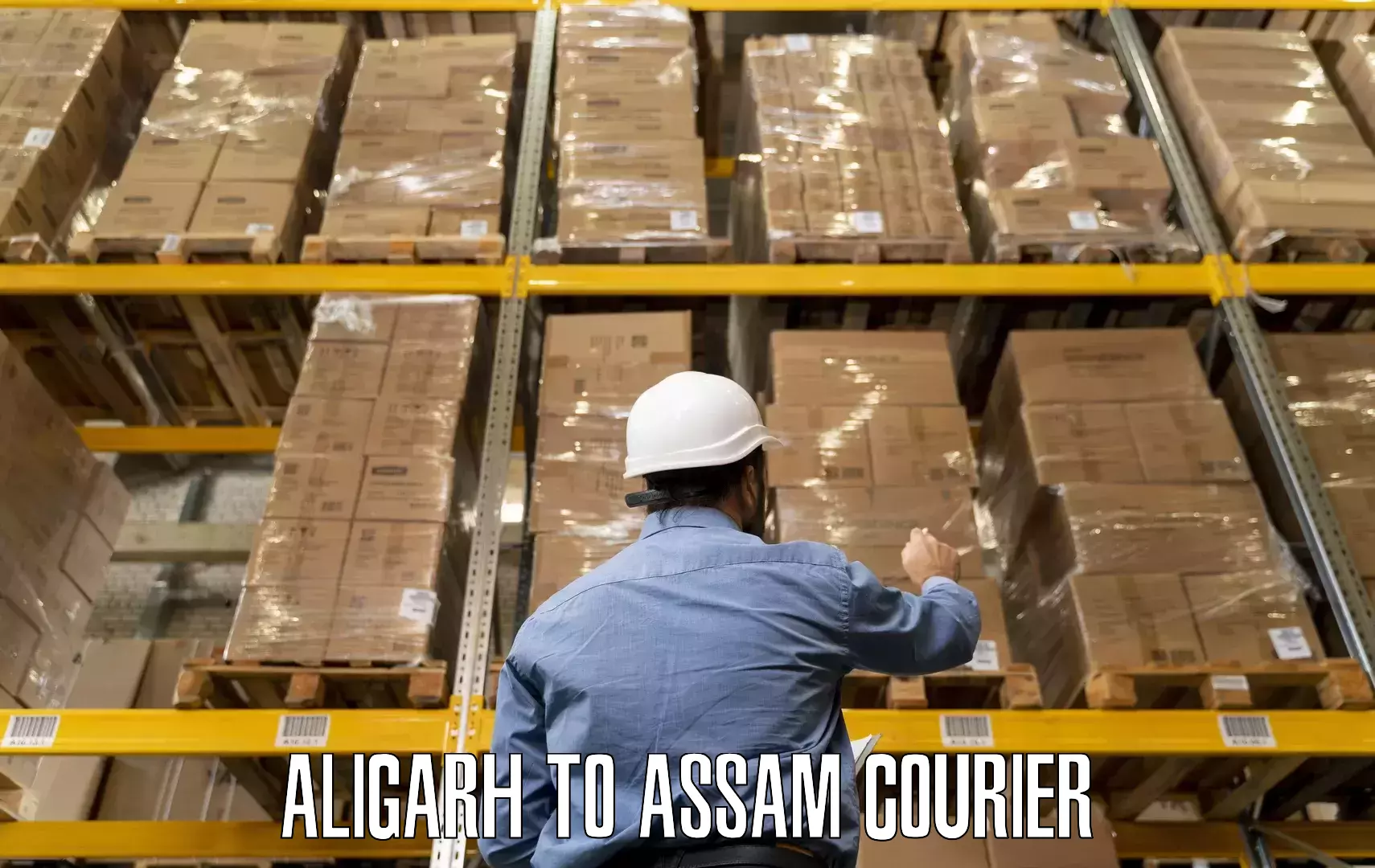 Safe home goods transport Aligarh to Silchar