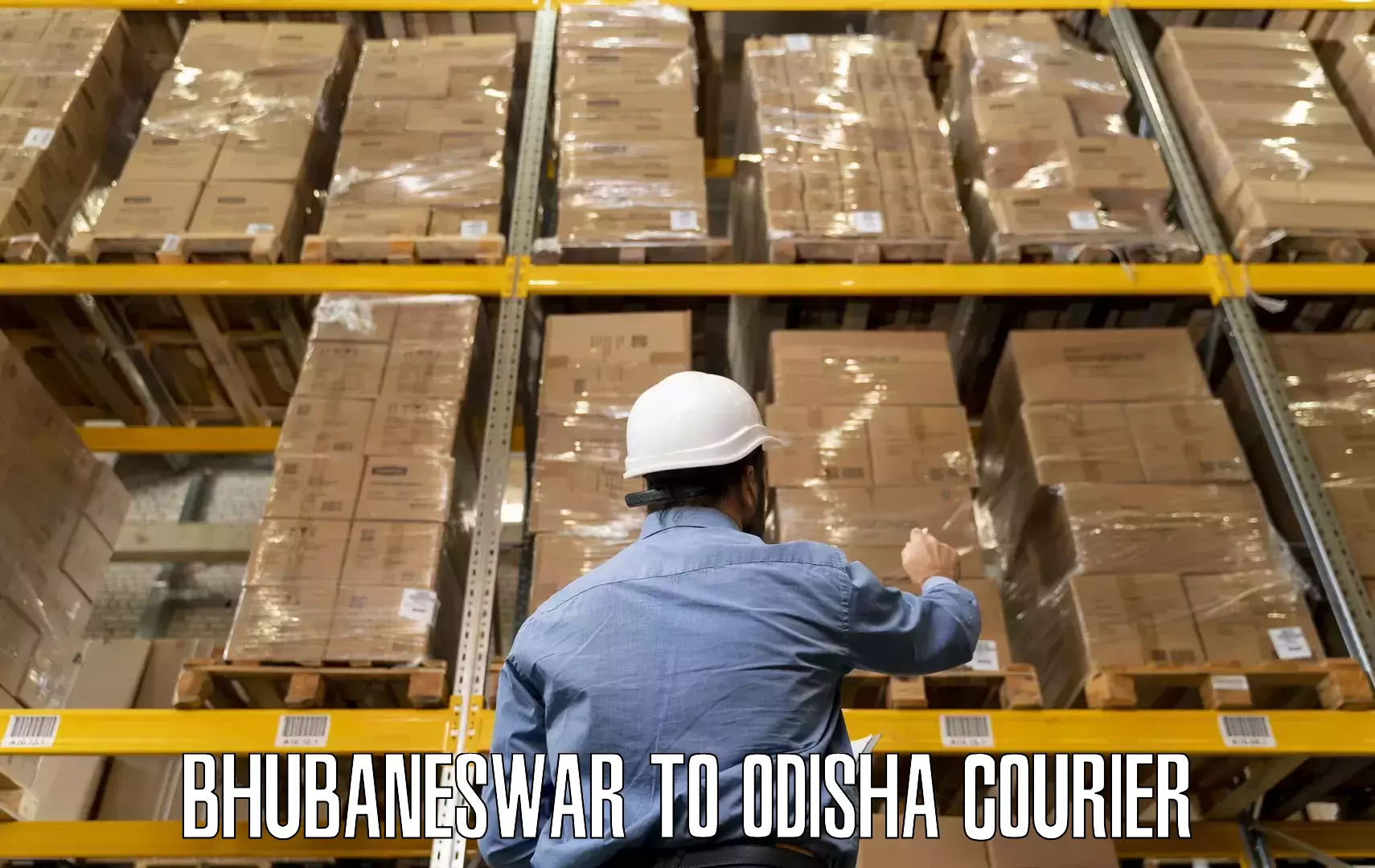 Quality moving services Bhubaneswar to Odisha