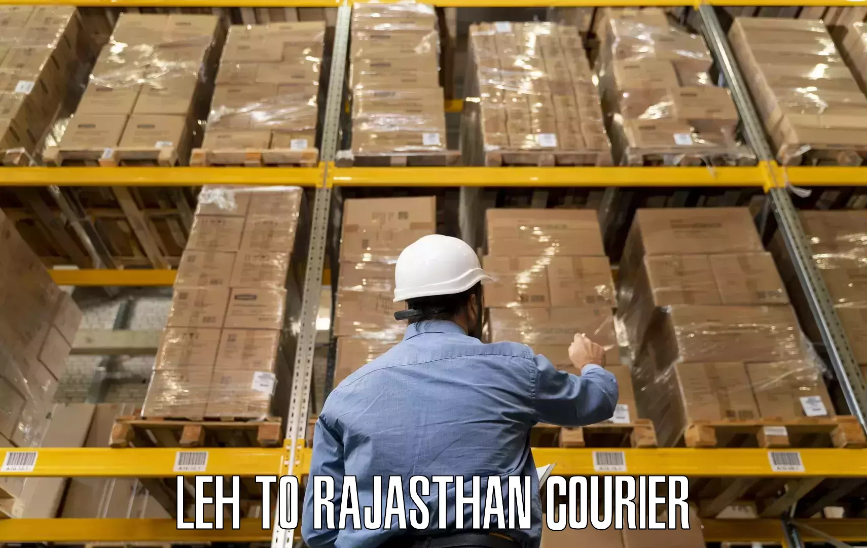 Professional moving assistance Leh to Rajasthan
