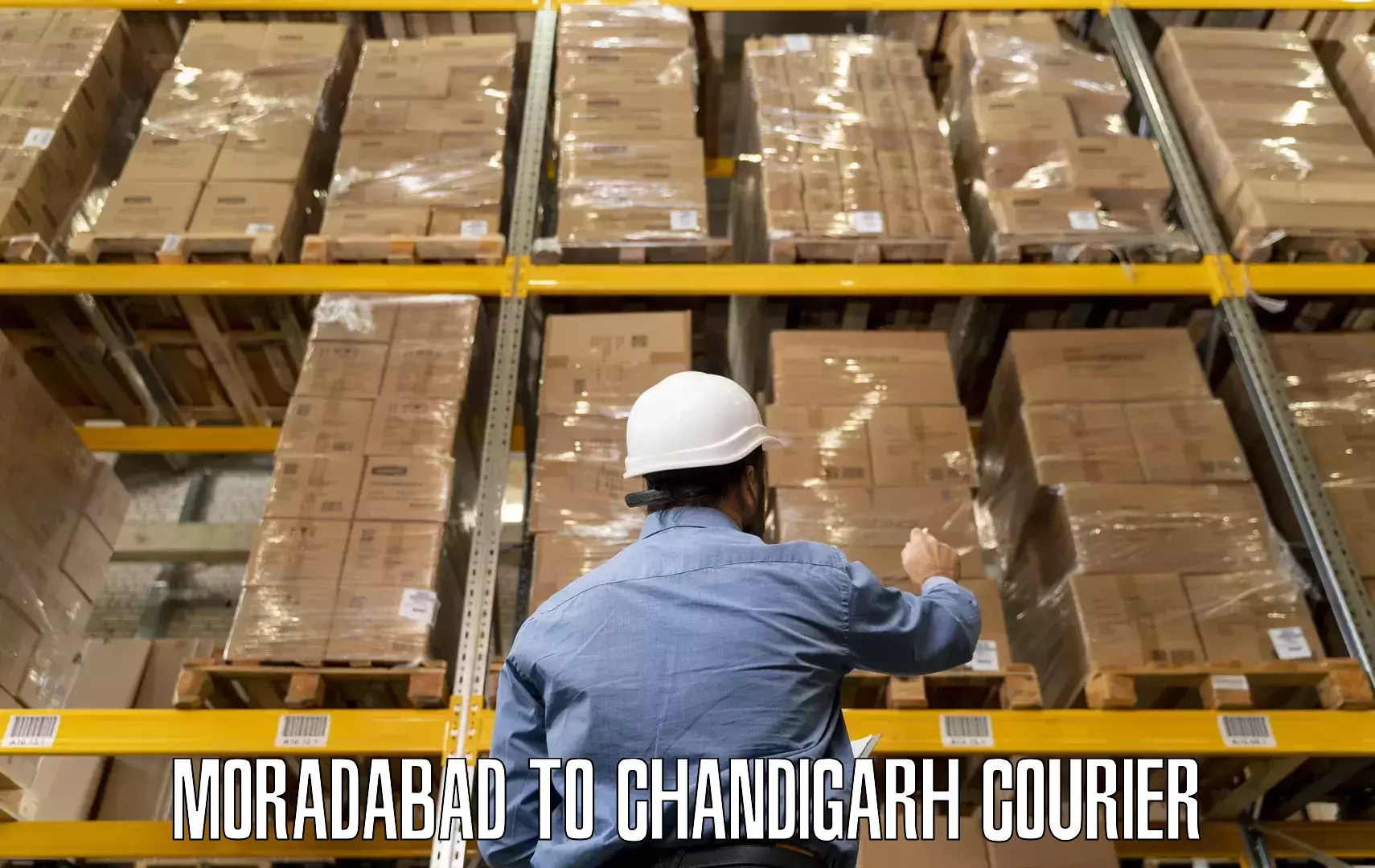 Advanced relocation solutions Moradabad to Chandigarh
