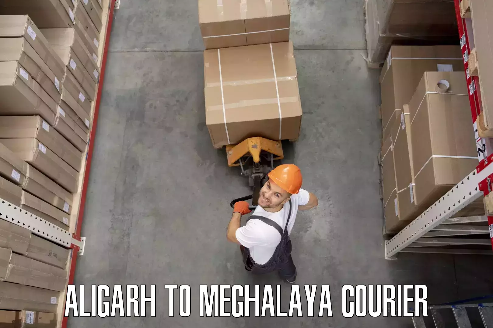 Premium furniture transport Aligarh to Nongpoh