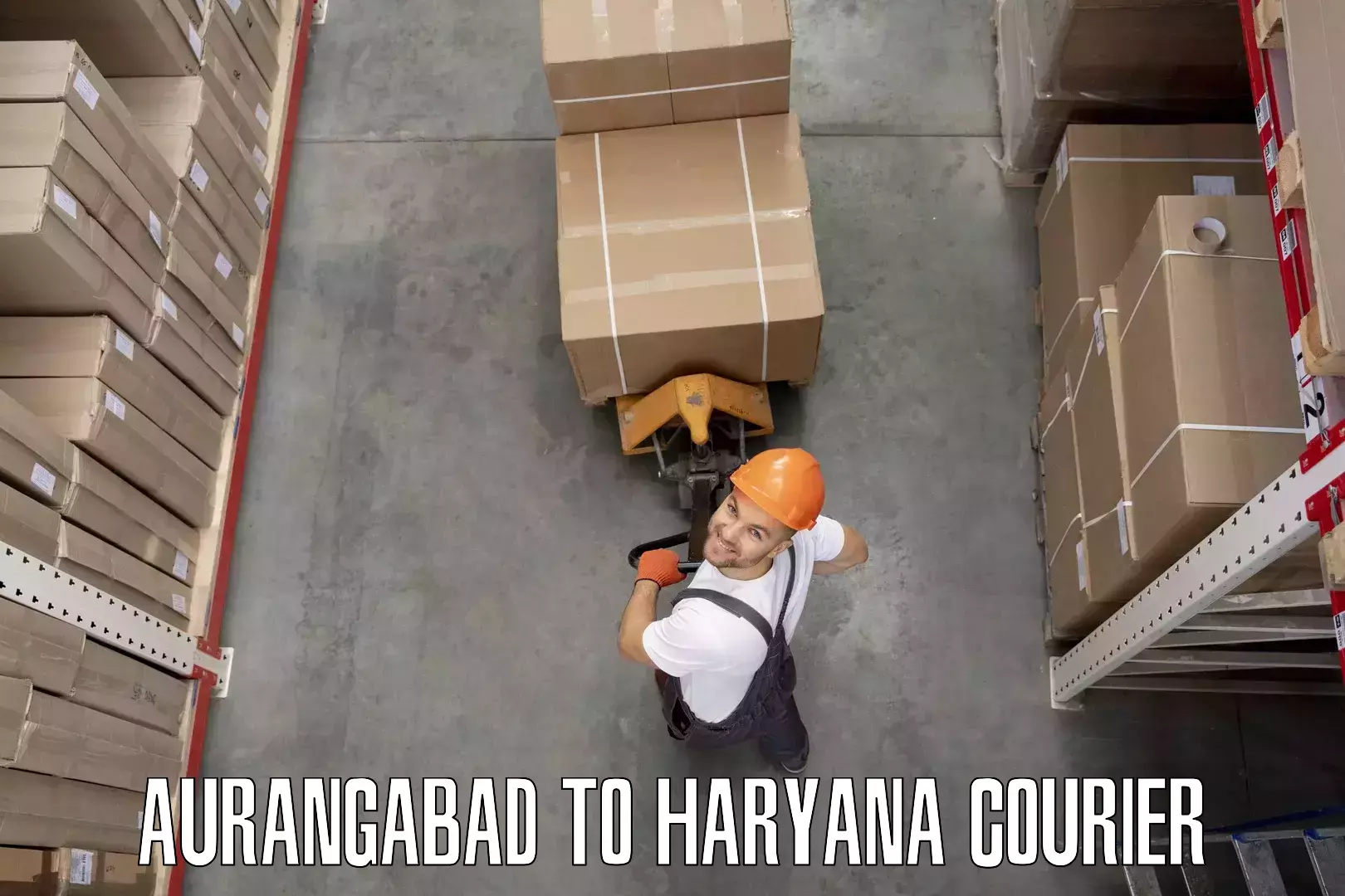 Household logistics services Aurangabad to Ambala