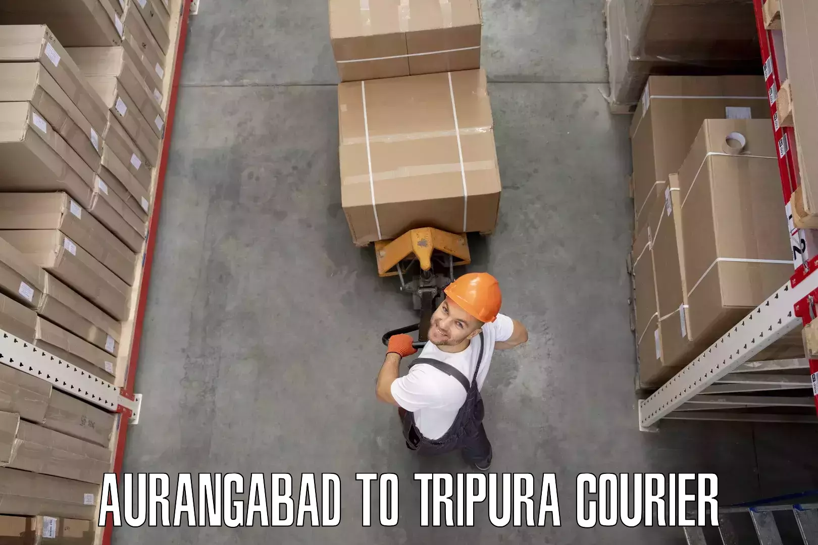 Door-to-door relocation services Aurangabad to North Tripura
