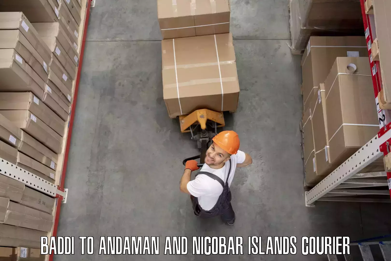 Stress-free household moving Baddi to Andaman and Nicobar Islands