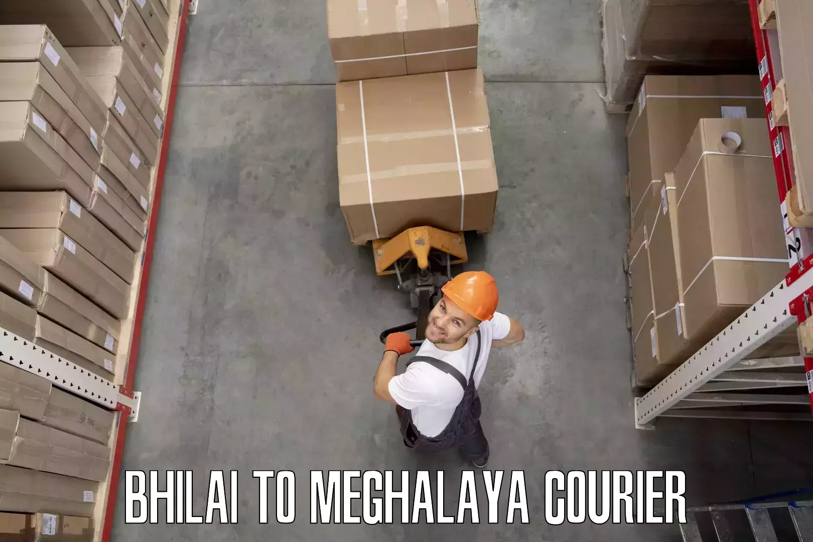 Home shifting experts Bhilai to Meghalaya