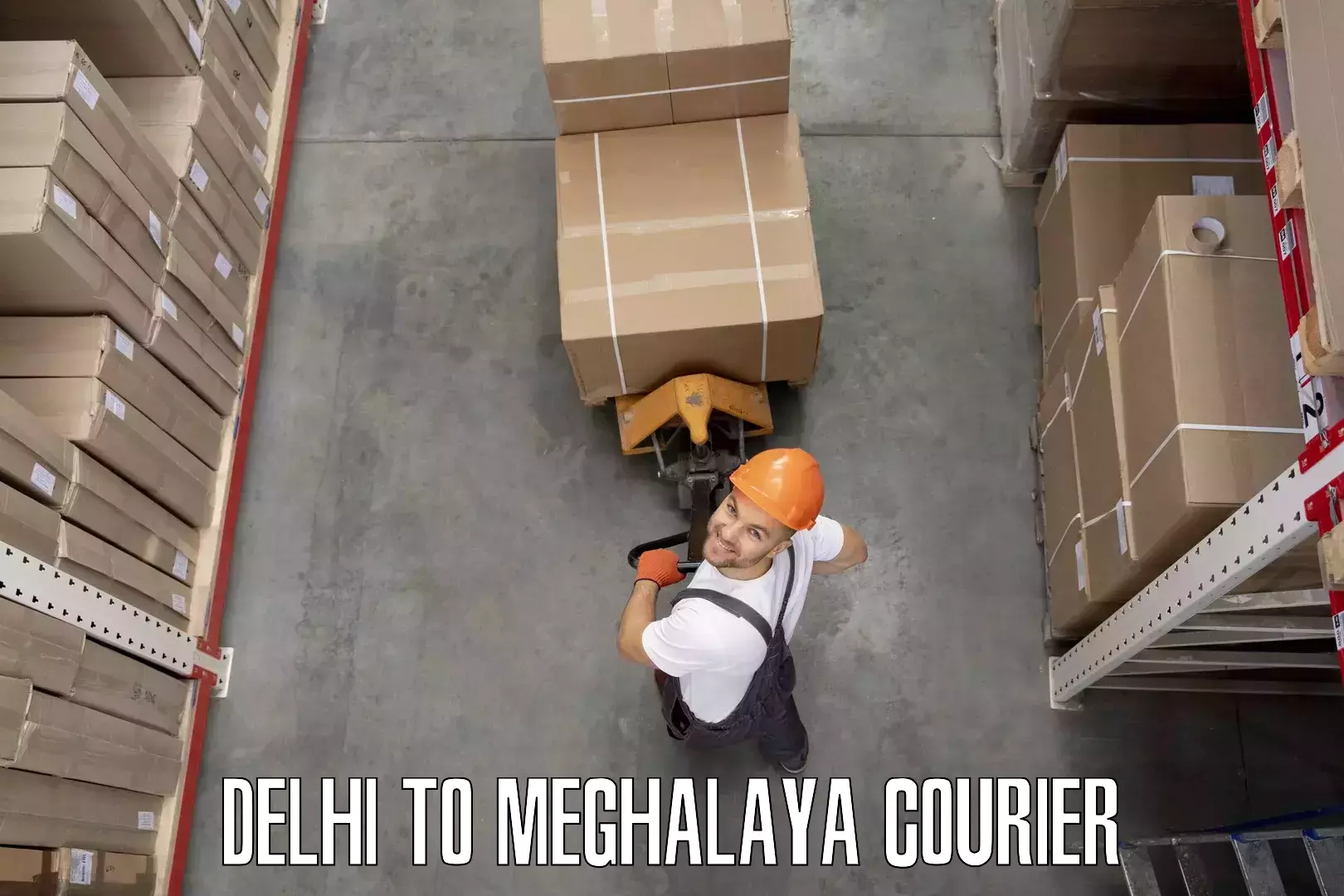 Flexible moving solutions Delhi to East Khasi Hills
