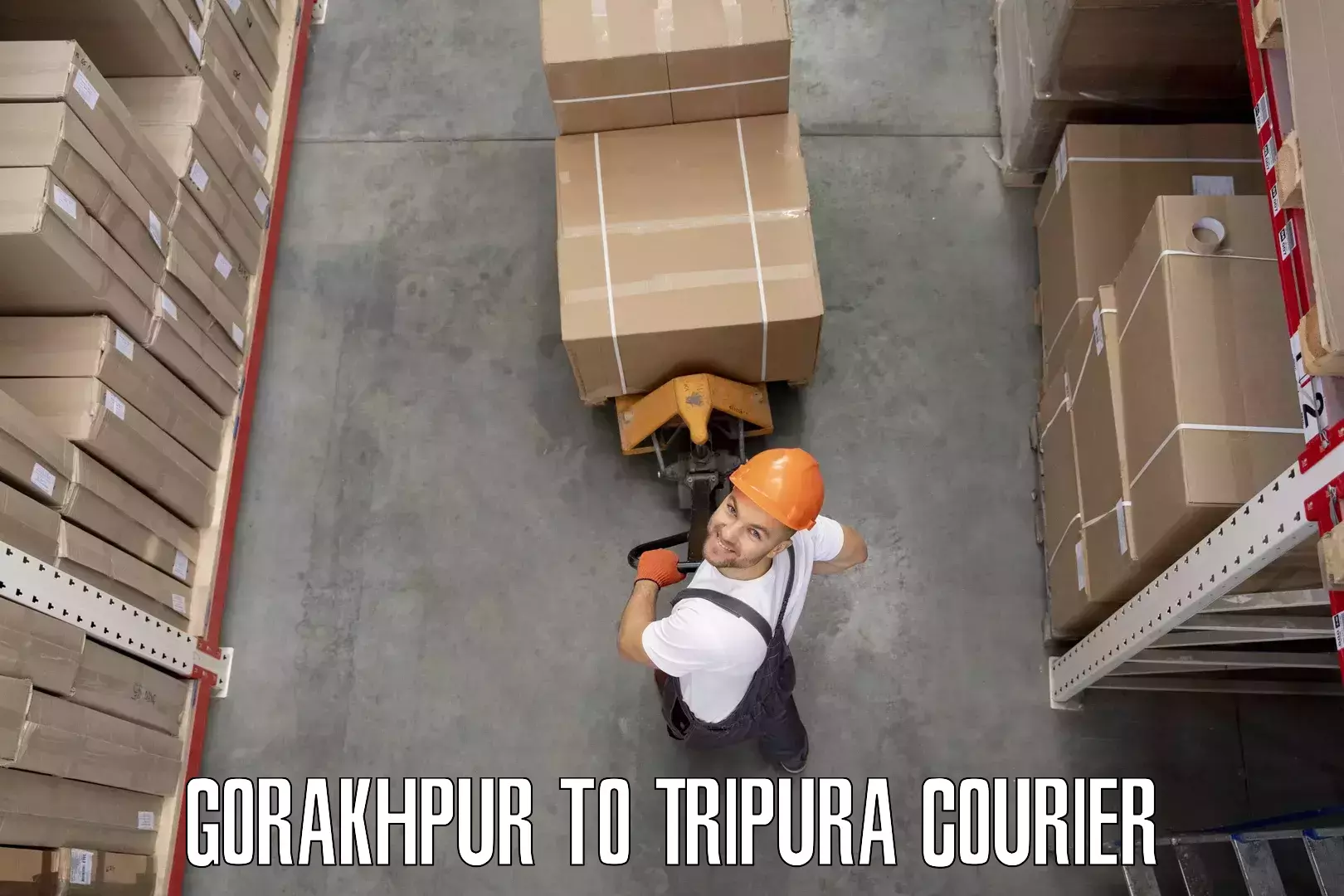 Quick furniture moving Gorakhpur to Teliamura