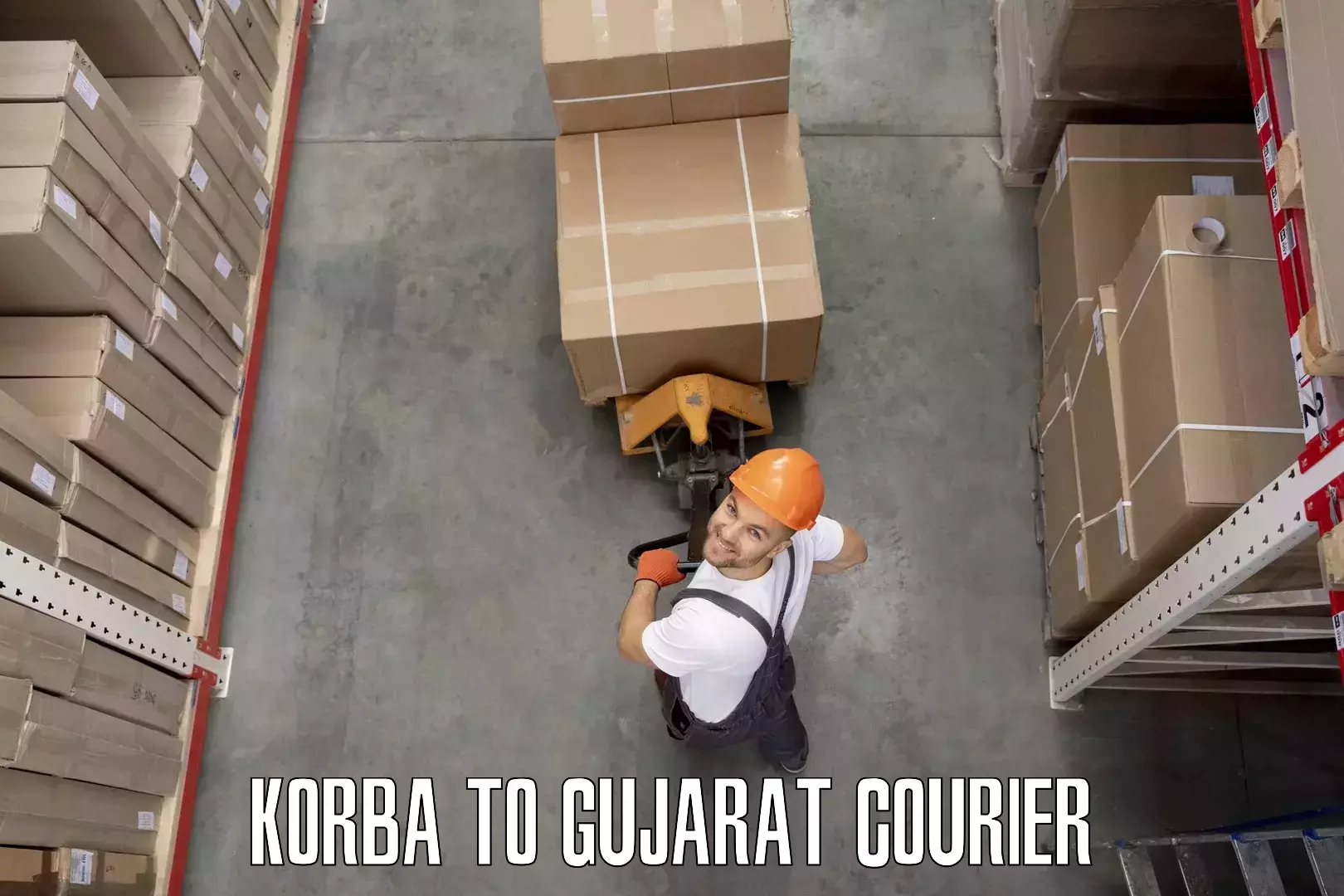 Home goods movers Korba to Nasvadi