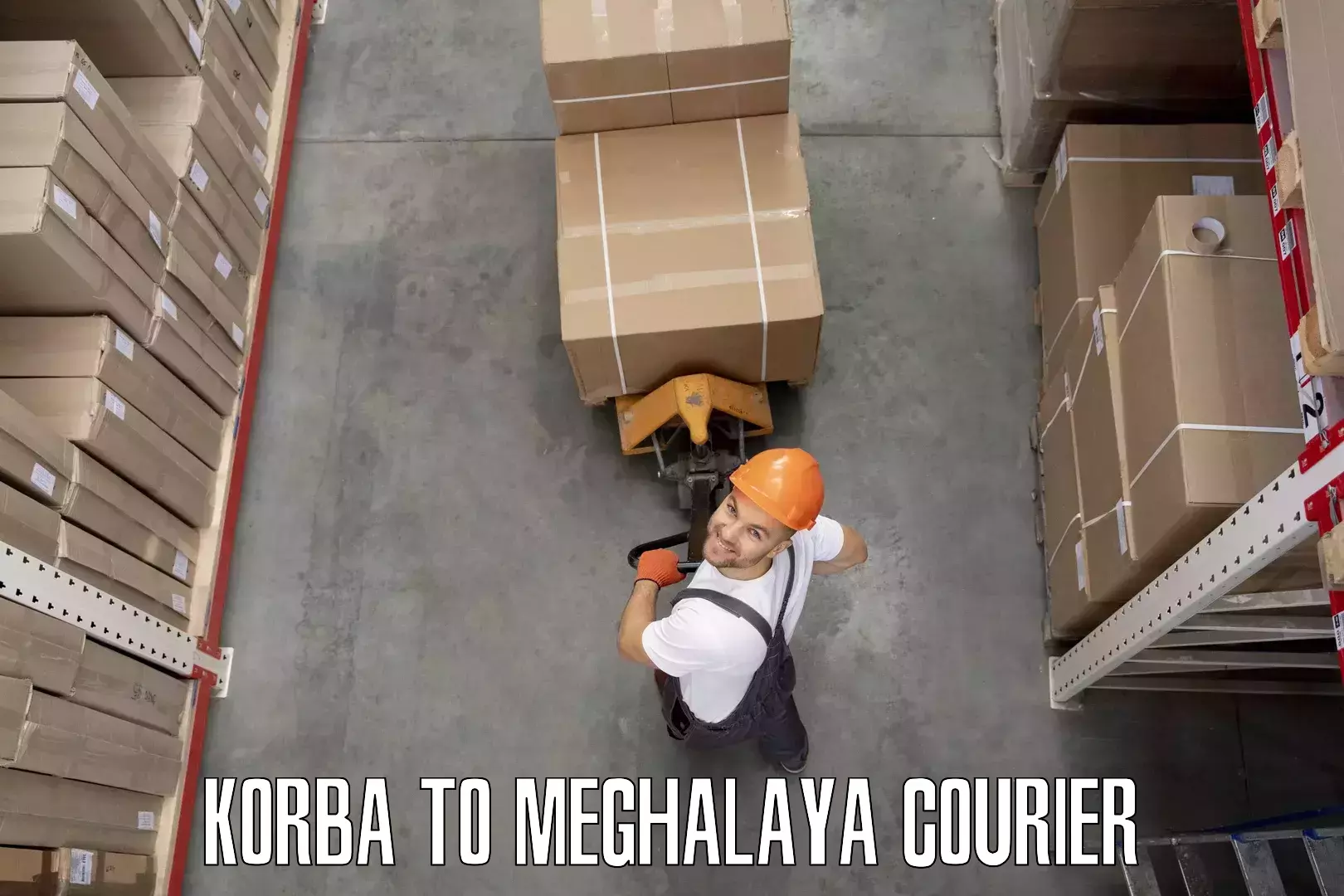 Reliable furniture shifting Korba to Meghalaya