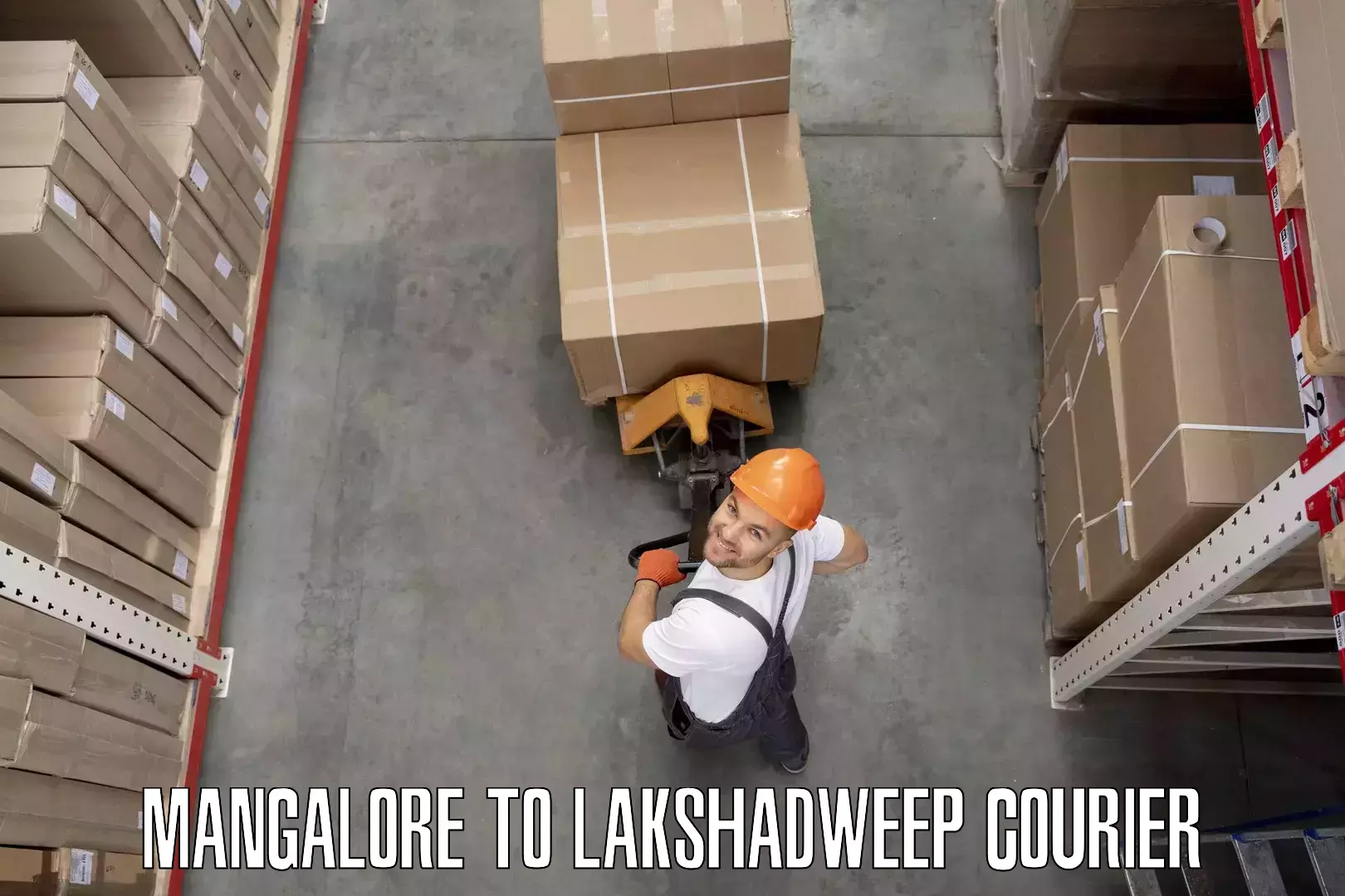 Furniture moving experts Mangalore to Lakshadweep