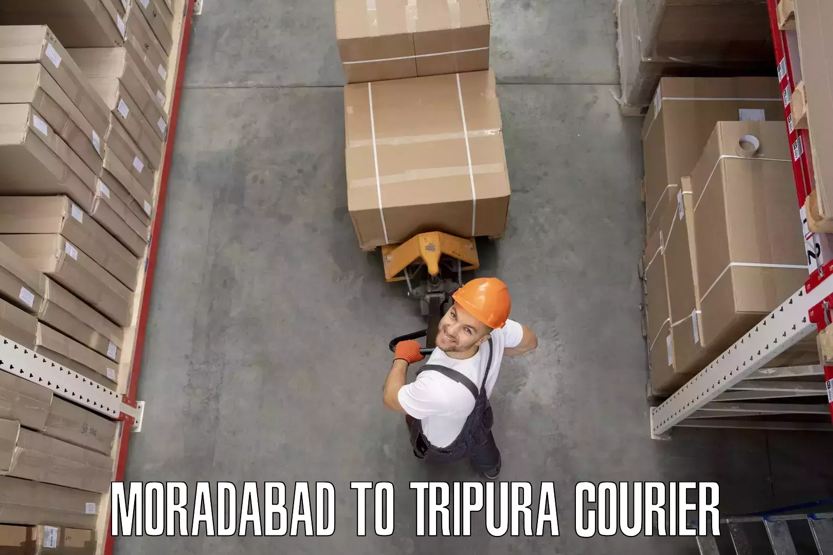 Expert furniture movers in Moradabad to South Tripura