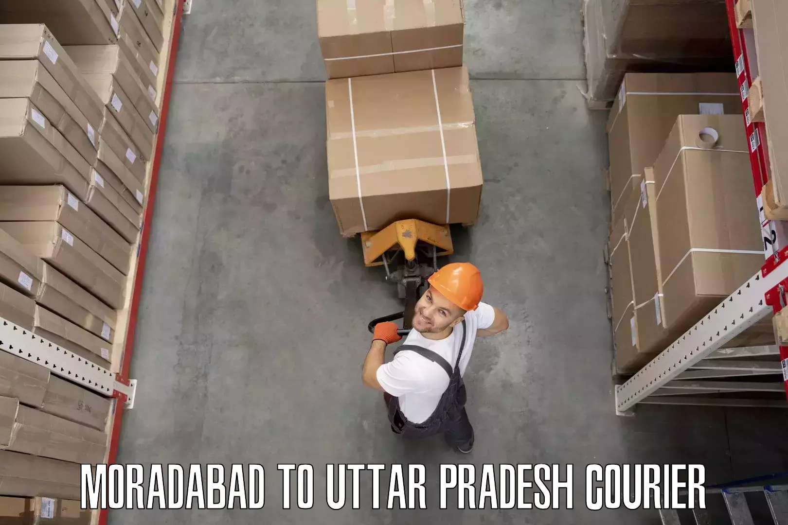 Household transport solutions Moradabad to Uttar Pradesh