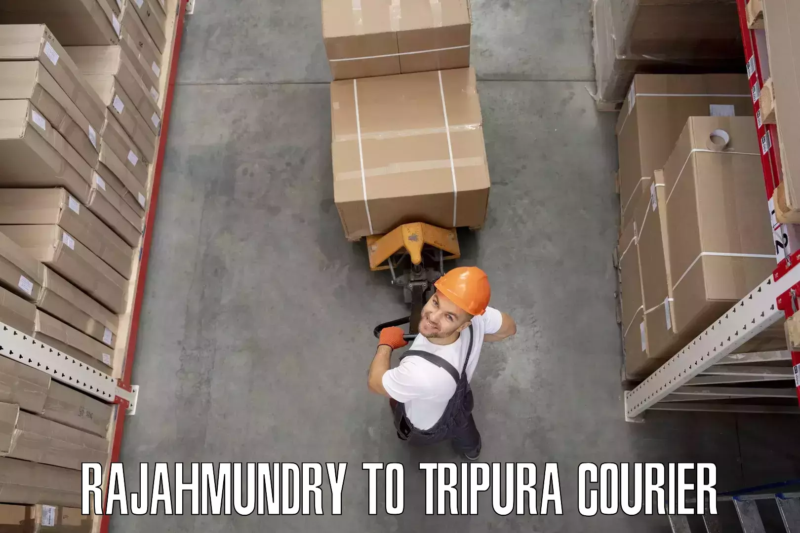 Efficient furniture shifting Rajahmundry to South Tripura