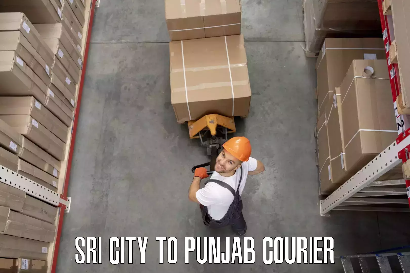 Furniture moving experts Sri City to Punjab