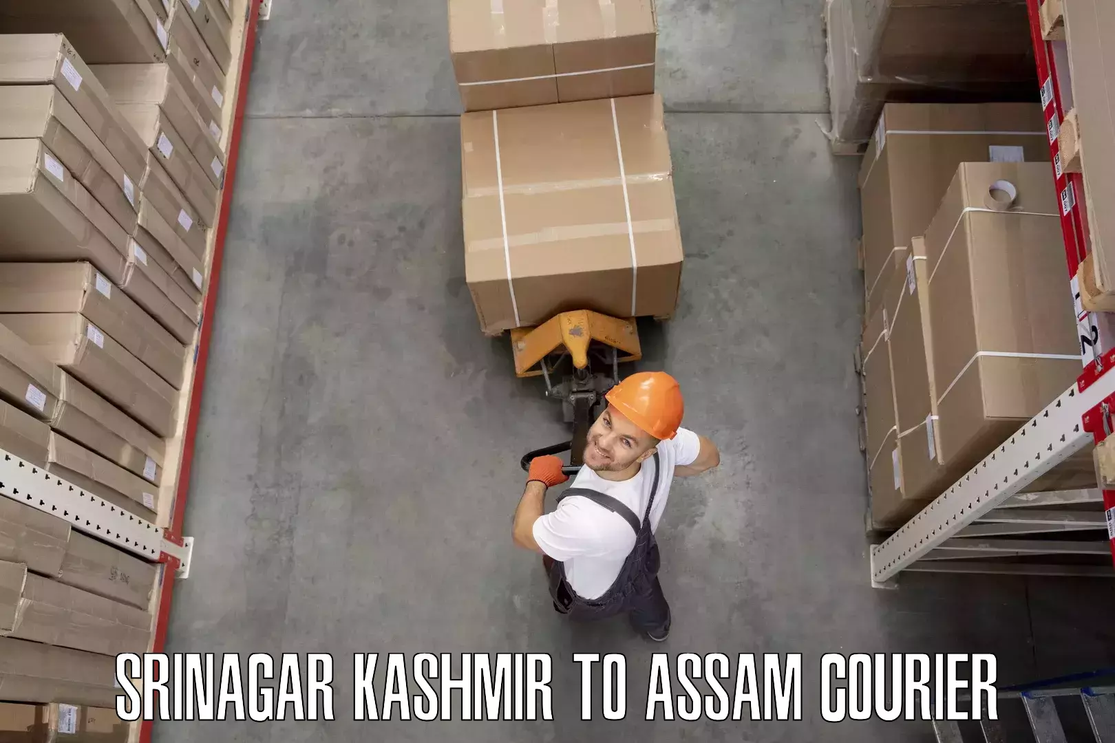 Safe furniture moving Srinagar Kashmir to Tezpur