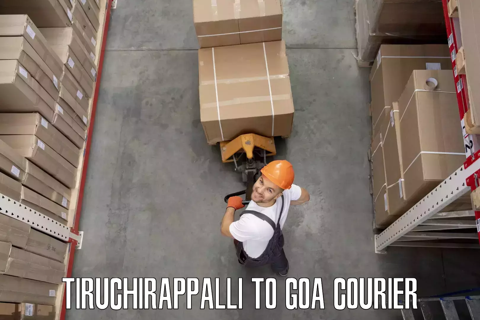 Door-to-door relocation services Tiruchirappalli to Goa