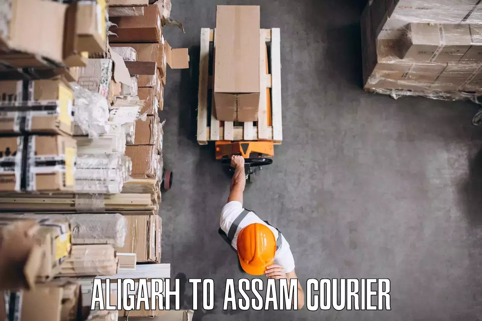 Efficient furniture movers Aligarh to Agomani