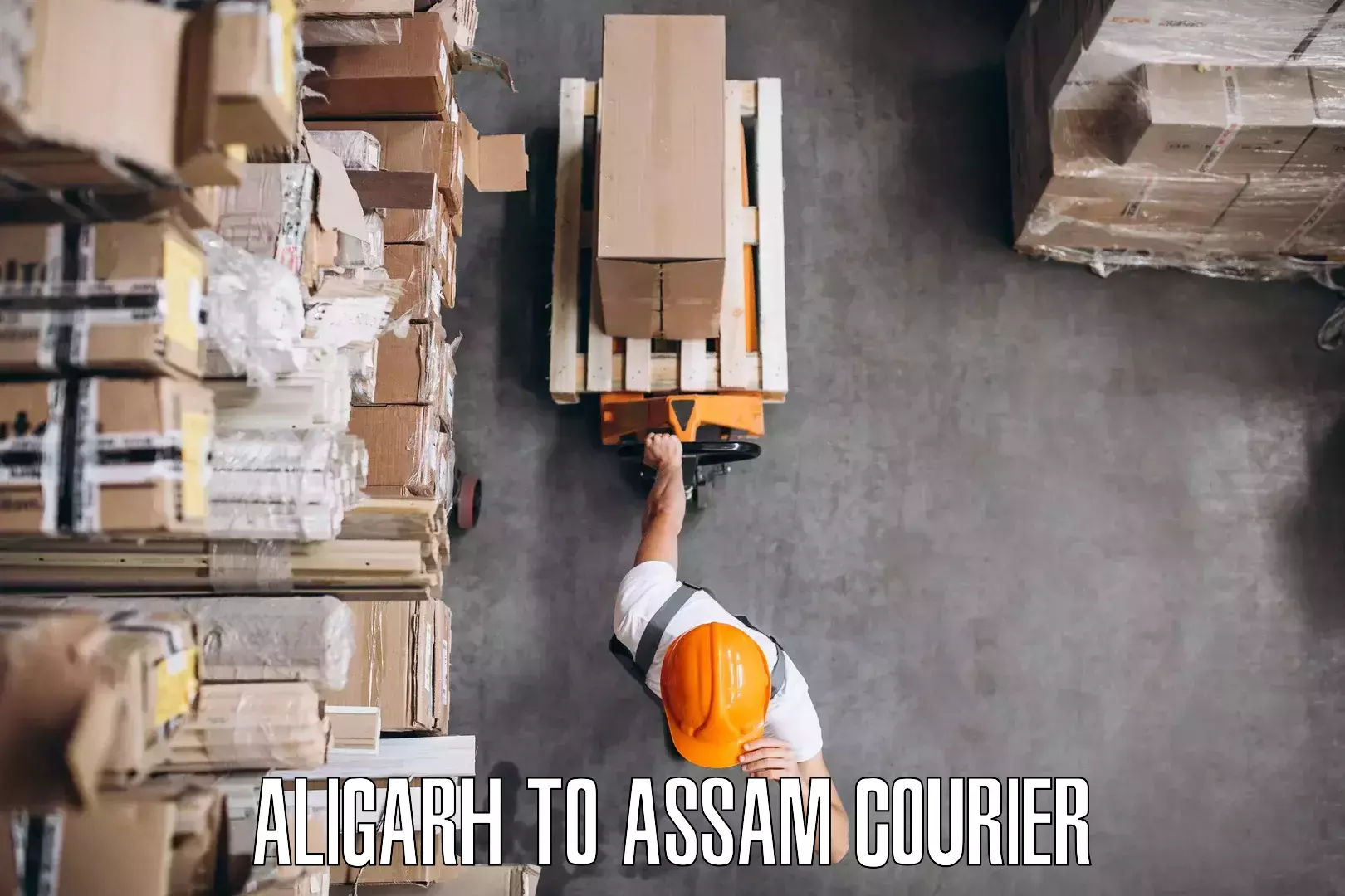 Reliable furniture shifting Aligarh to Howraghat