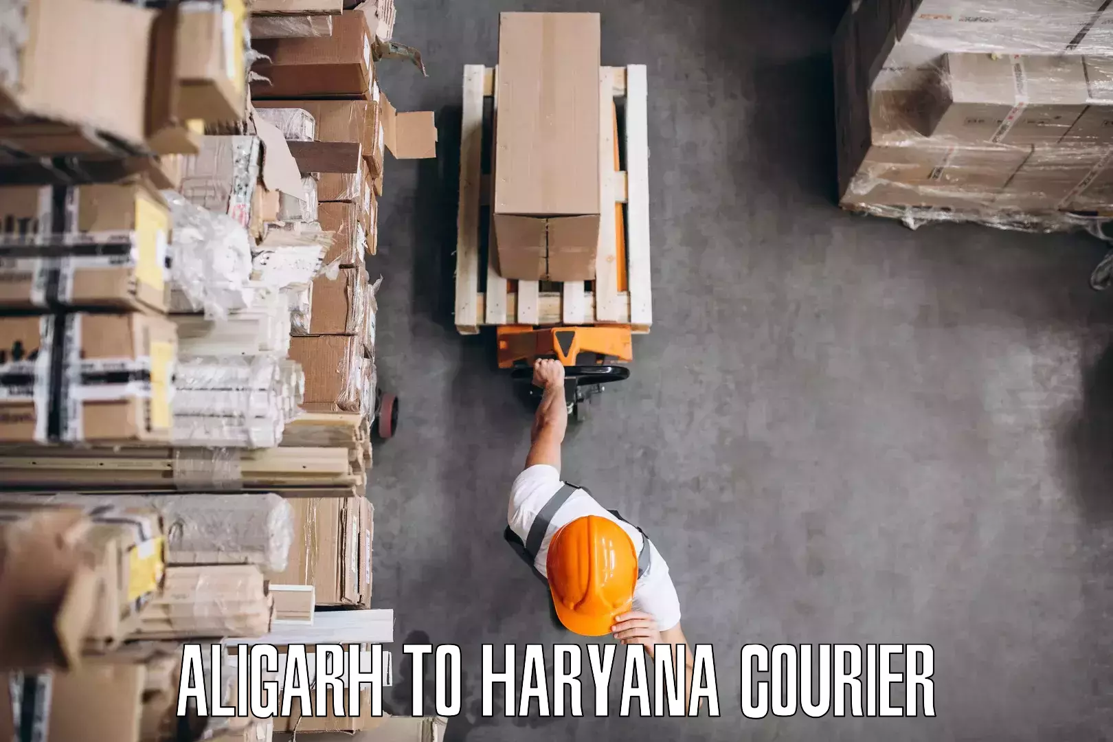Home goods movers Aligarh to Chaudhary Charan Singh Haryana Agricultural University Hisar